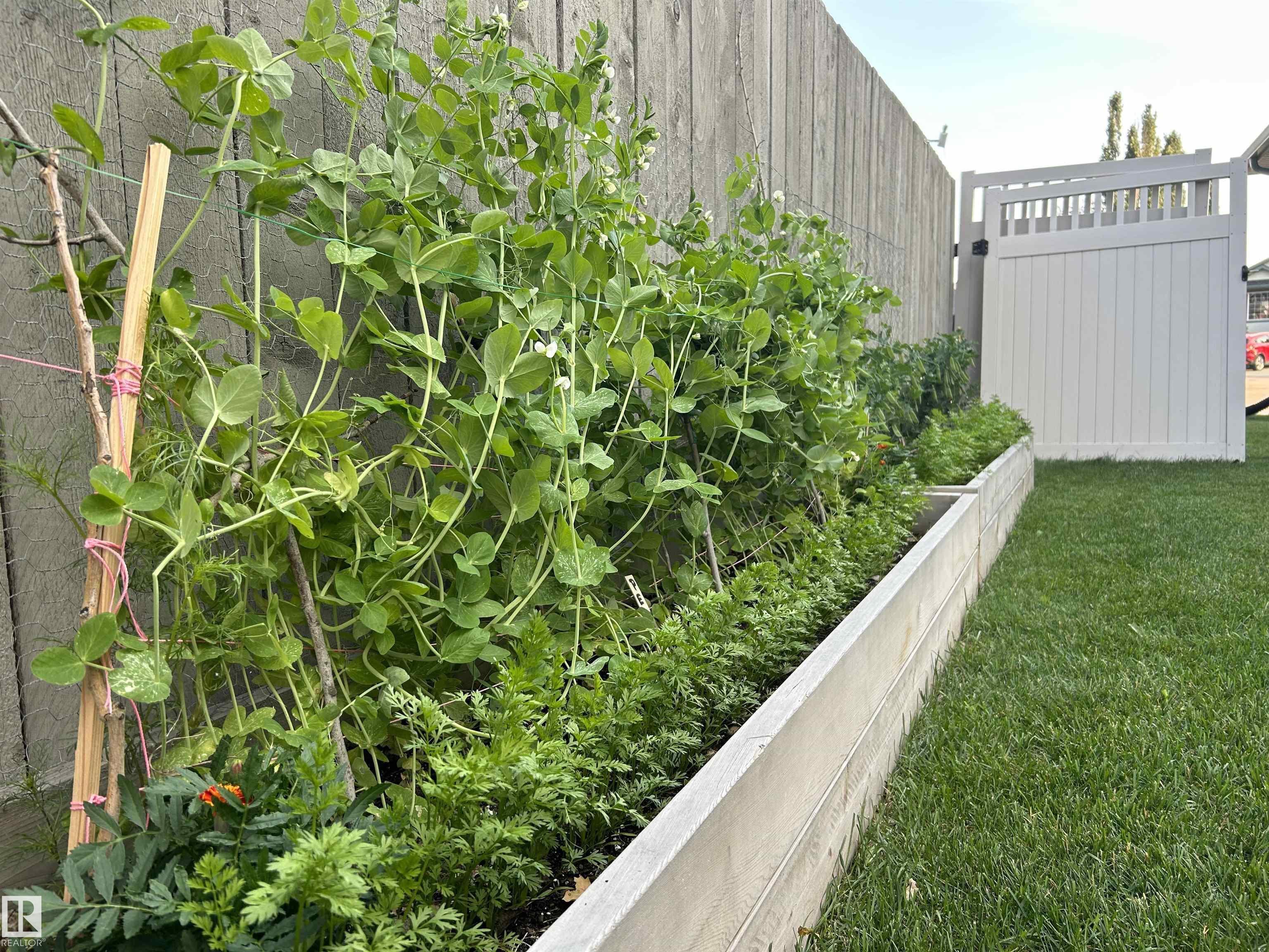 Photo 54 at 9106 96 Avenue, Morinville