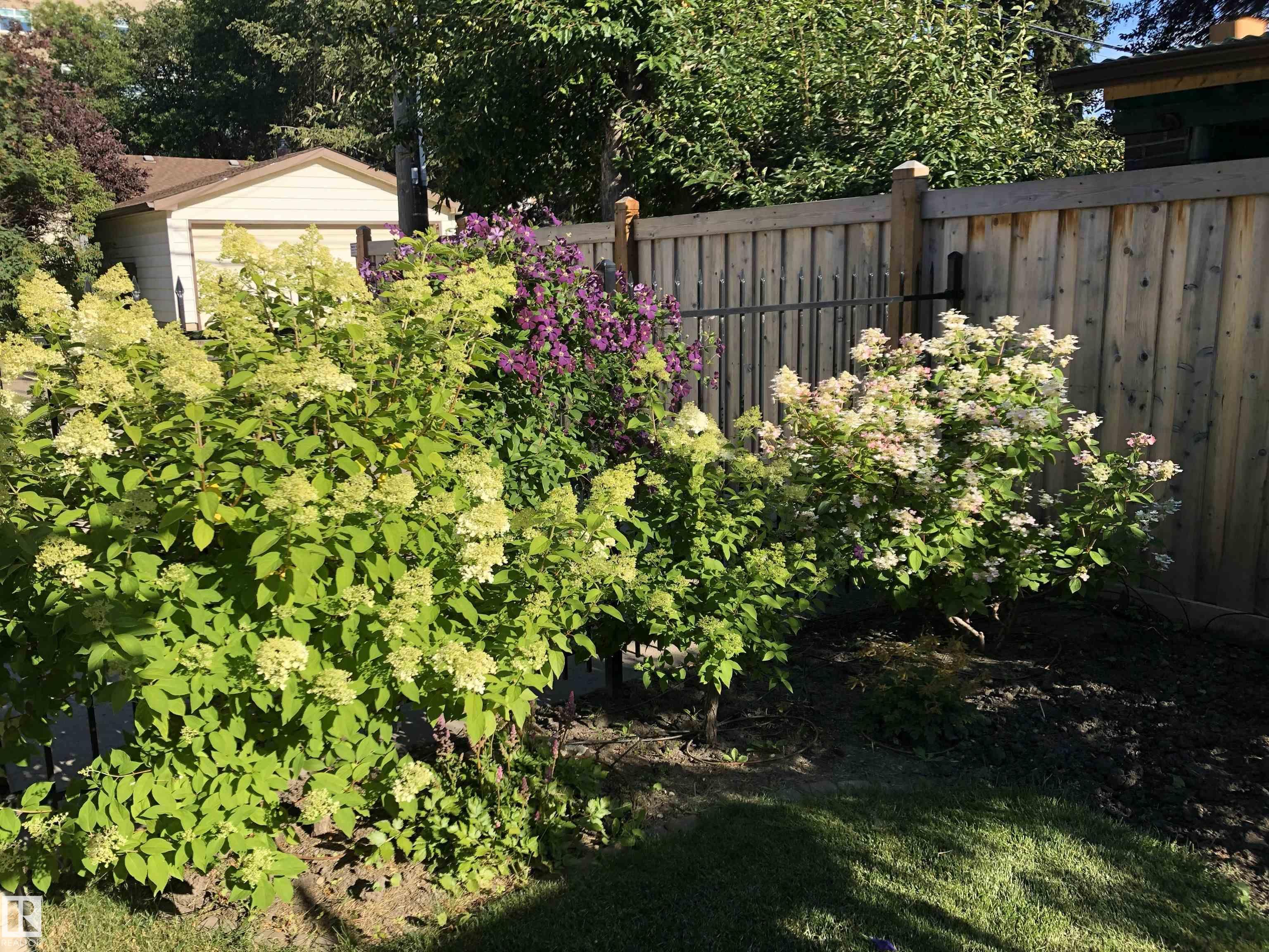 Photo 45 at 9135 117 Street NW, Windsor Park, Edmonton