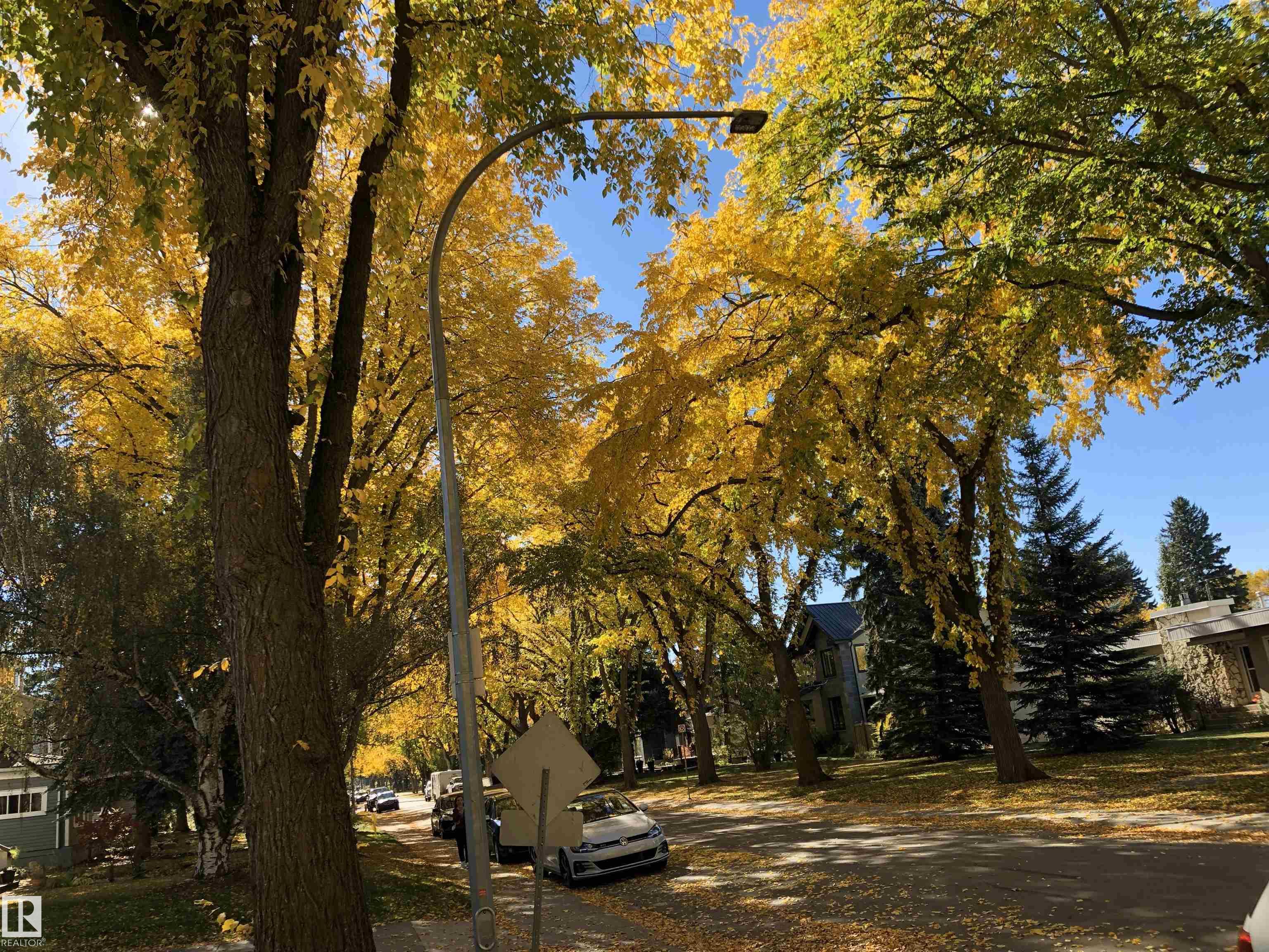 Photo 47 at 9135 117 Street NW, Windsor Park, Edmonton