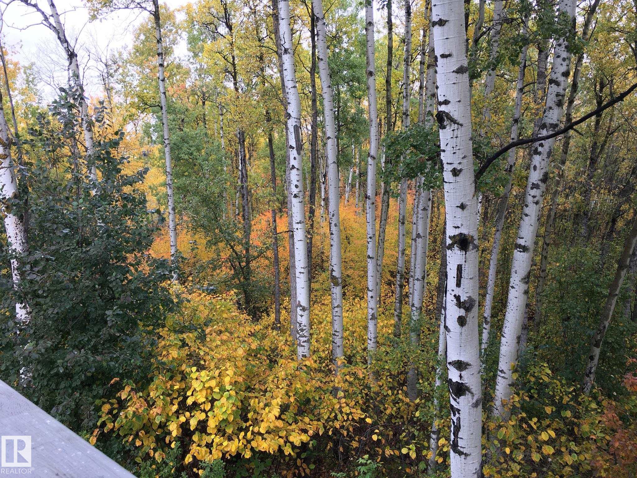 112 - 53319 Rge Road 14, Glory Lake Park, Rural Parkland County