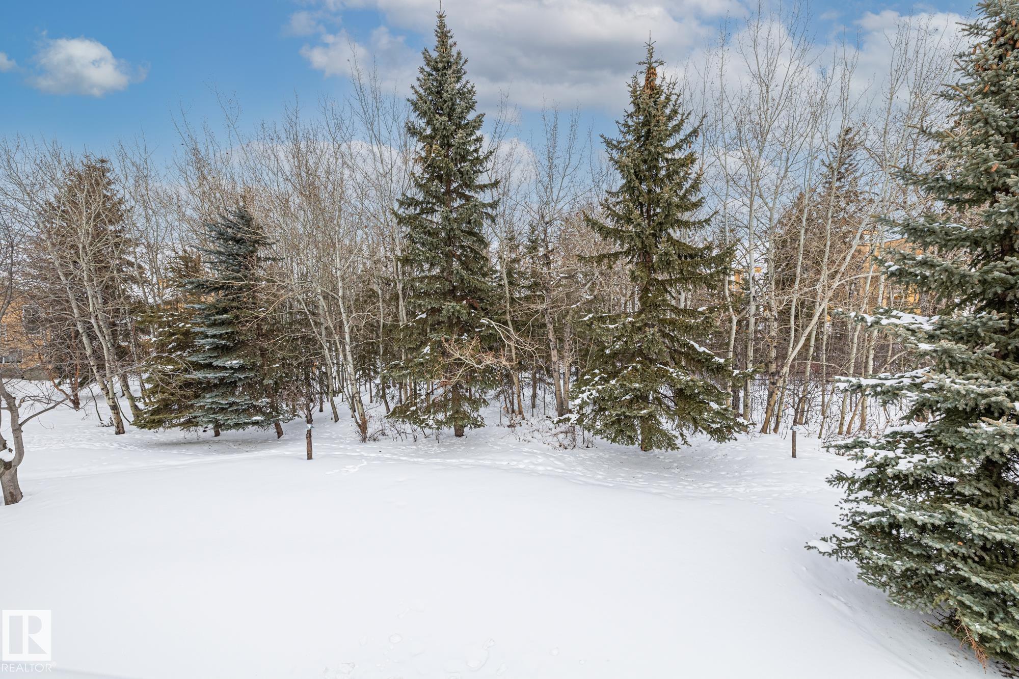 Photo 37 at 48 - 920 119 Street NW, Twin Brooks, Edmonton