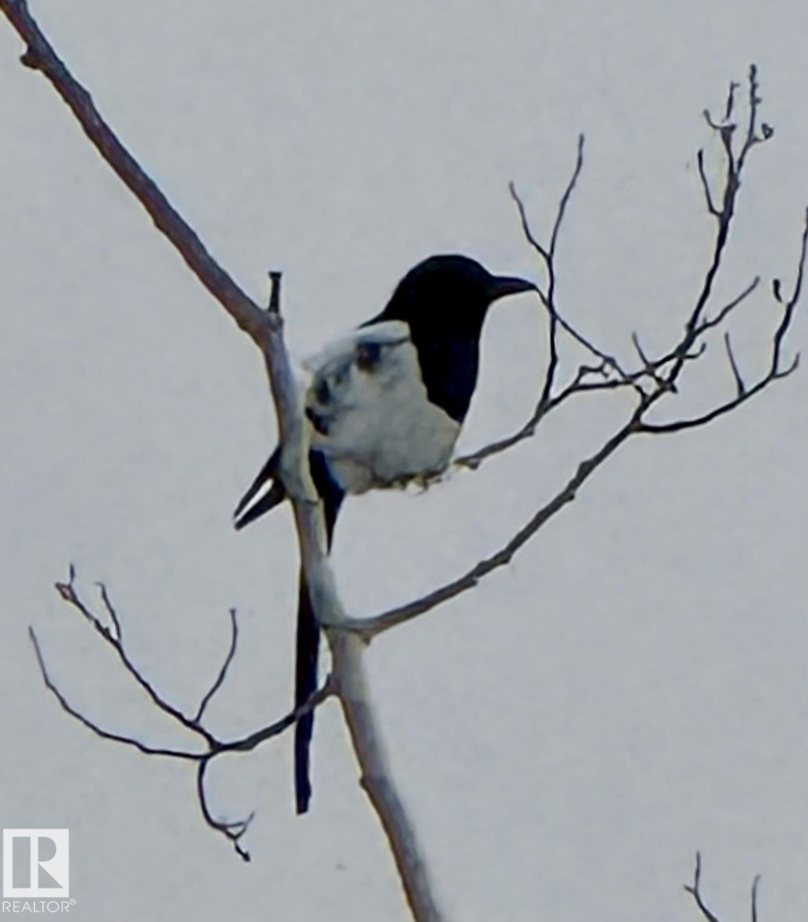 Photo 18 at 22 - 9703 174 Street NW, Terra Losa, Edmonton