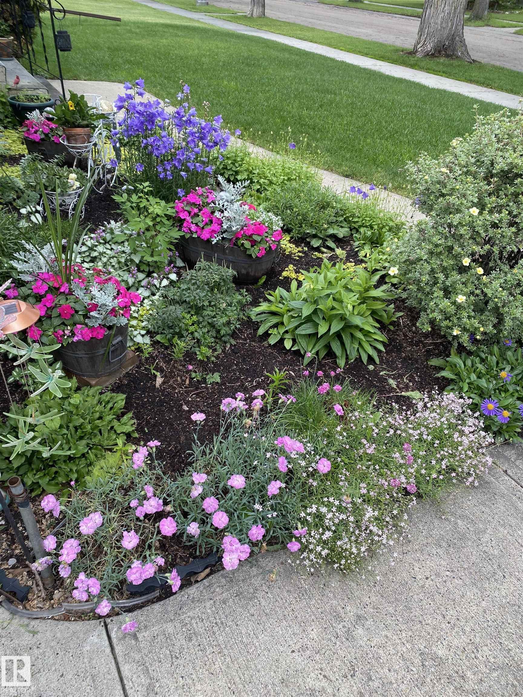 Photo 6 at 10724 148 Street NW, McQueen, Edmonton