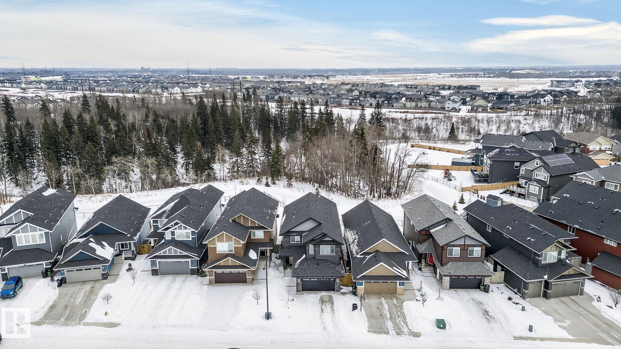 Photo 64 at 1460 Enright Landing NW, Edgemont, Edmonton