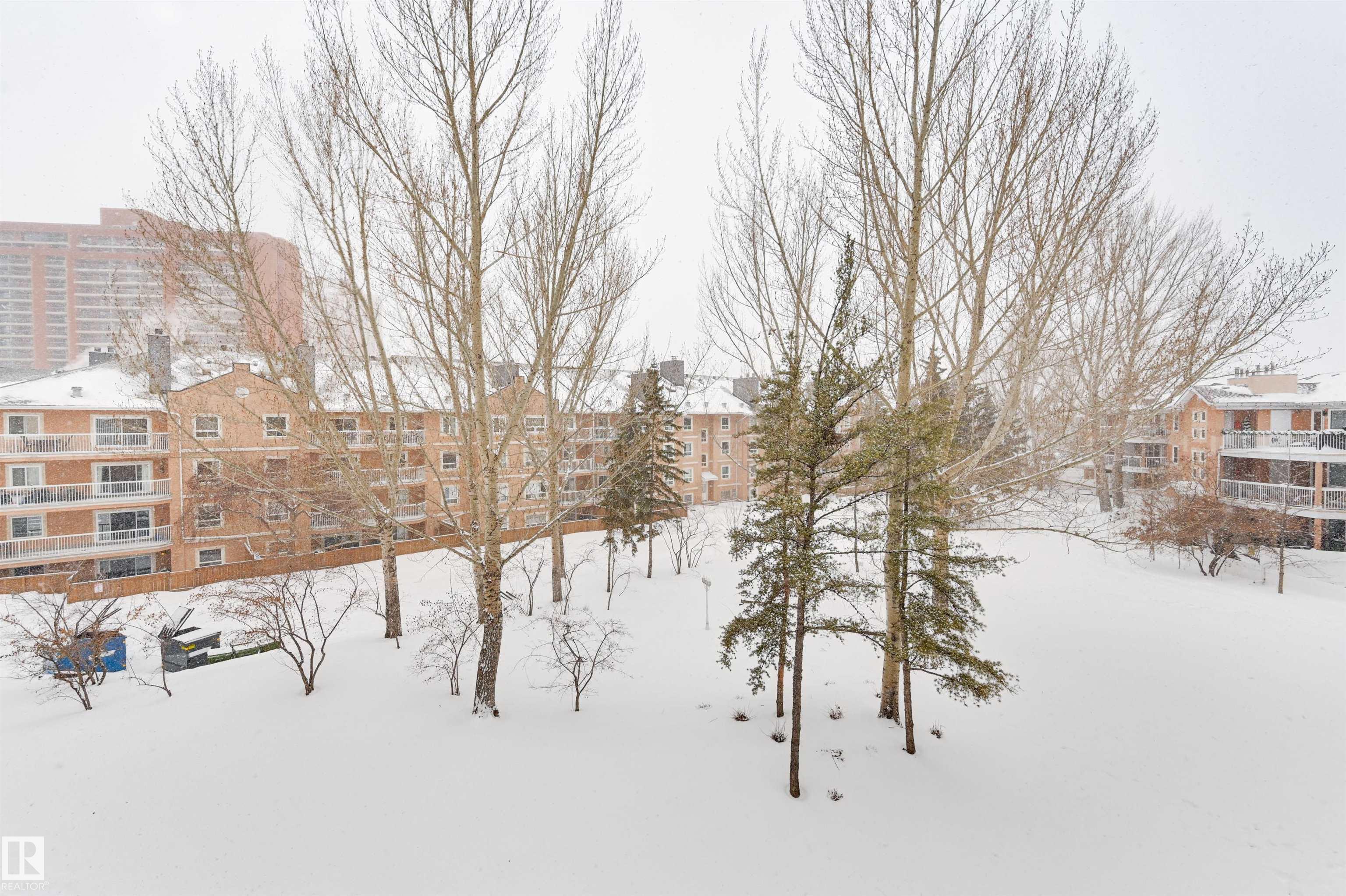 Photo 28 at 303 - 8811 106a Avenue NW, Boyle Street, Edmonton