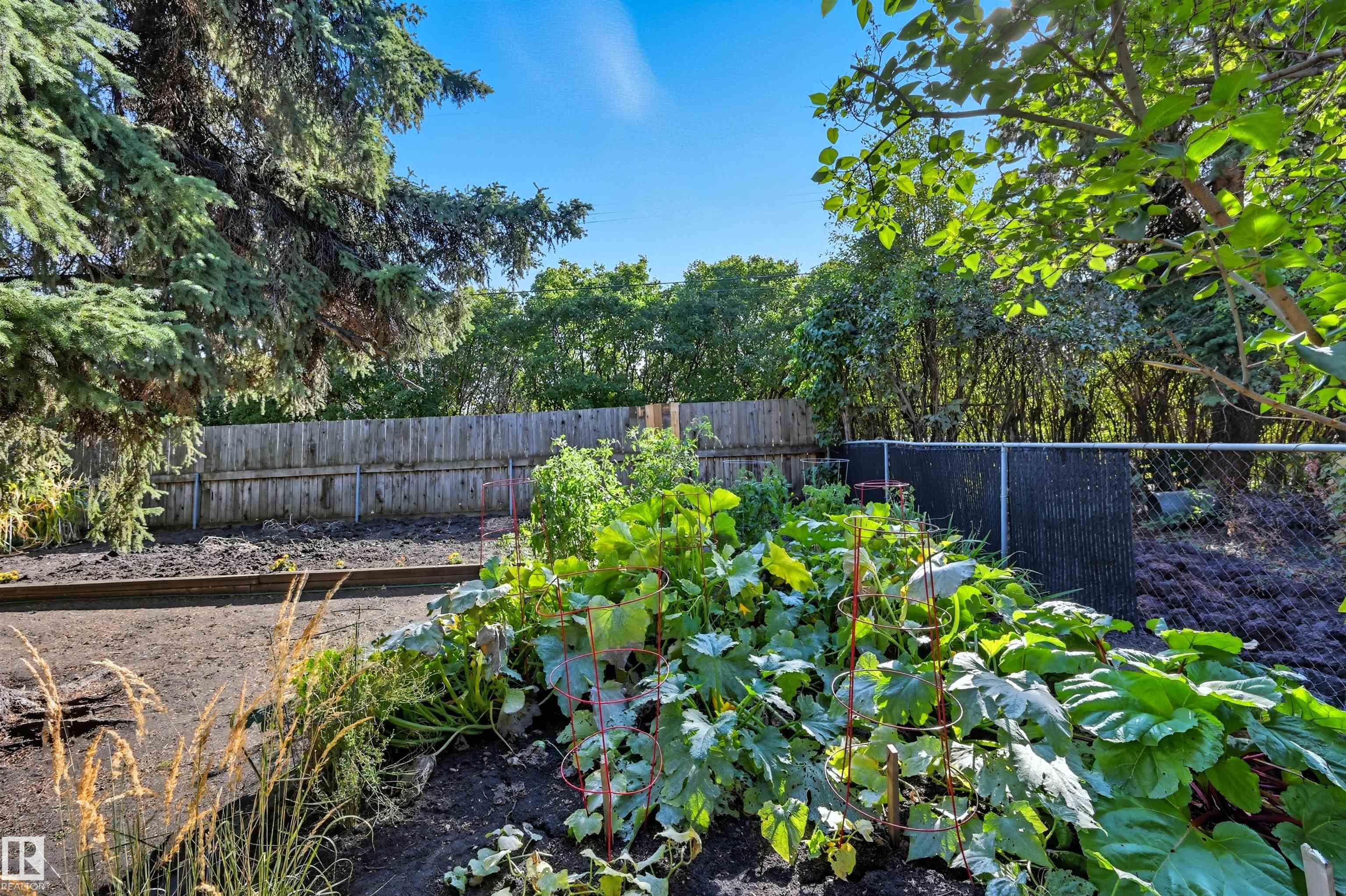 Photo 48 at 10915 62 Avenue NW, Parkallen, Edmonton