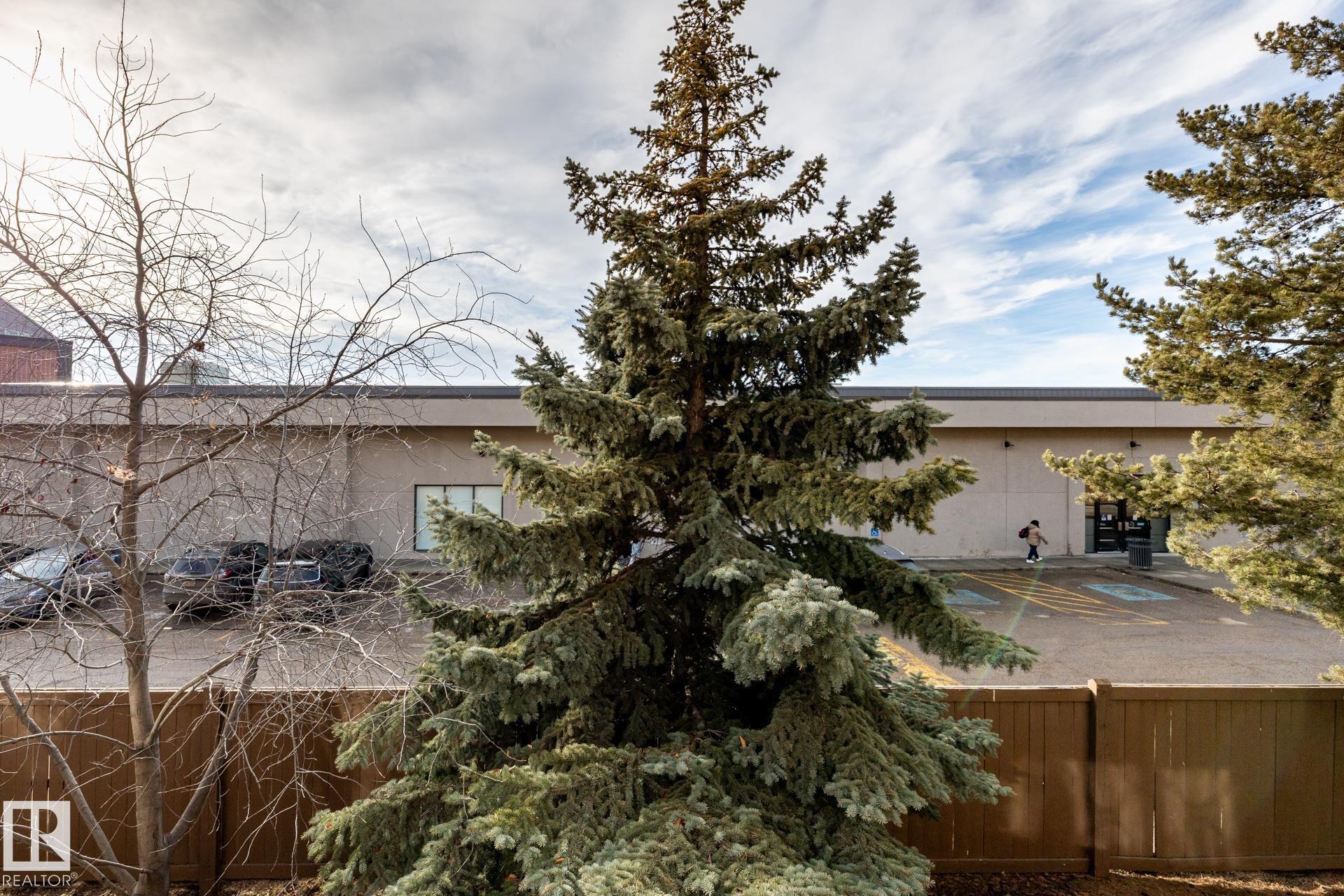 Photo 23 at 209 - 8912 156 Street NW, Meadowlark Park, Edmonton