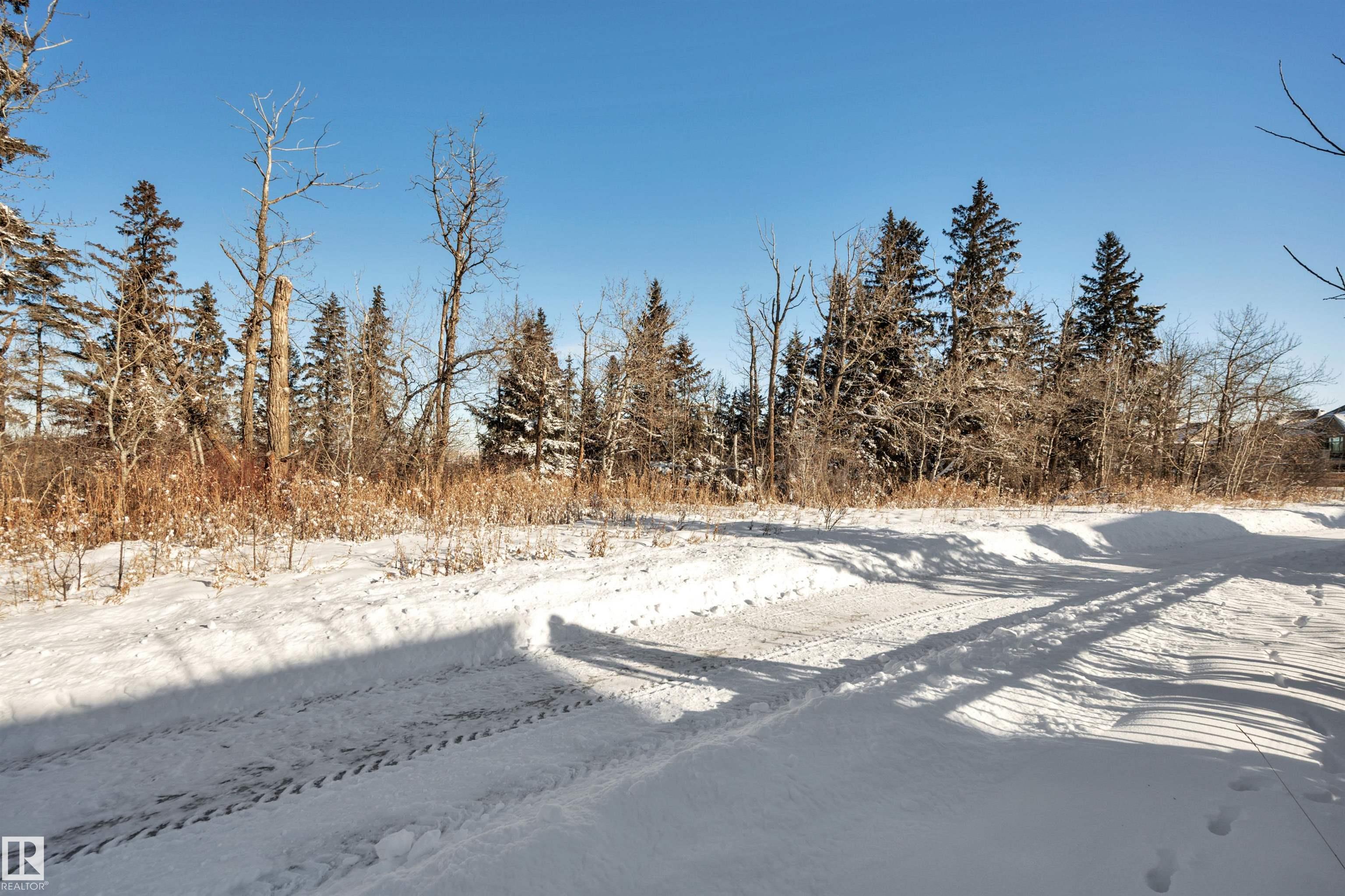 Photo 64 at 699 Howatt Drive SW, Hays Ridge Area, Edmonton