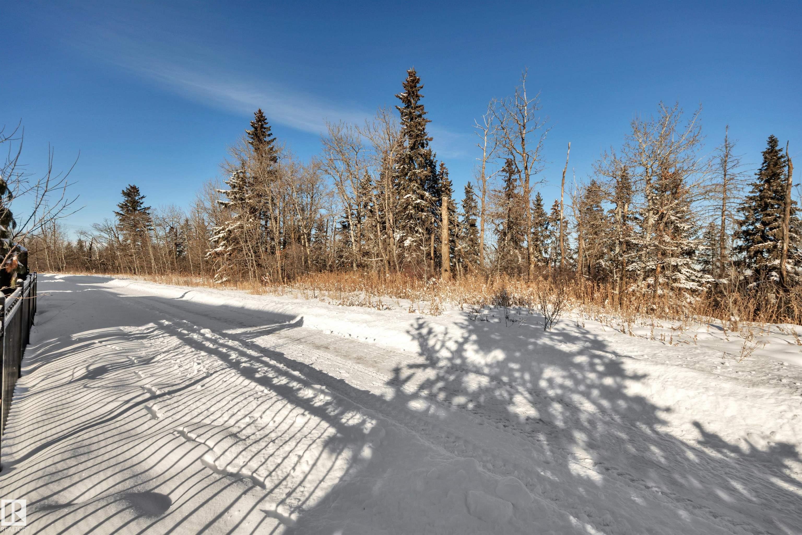 Photo 65 at 699 Howatt Drive SW, Hays Ridge Area, Edmonton