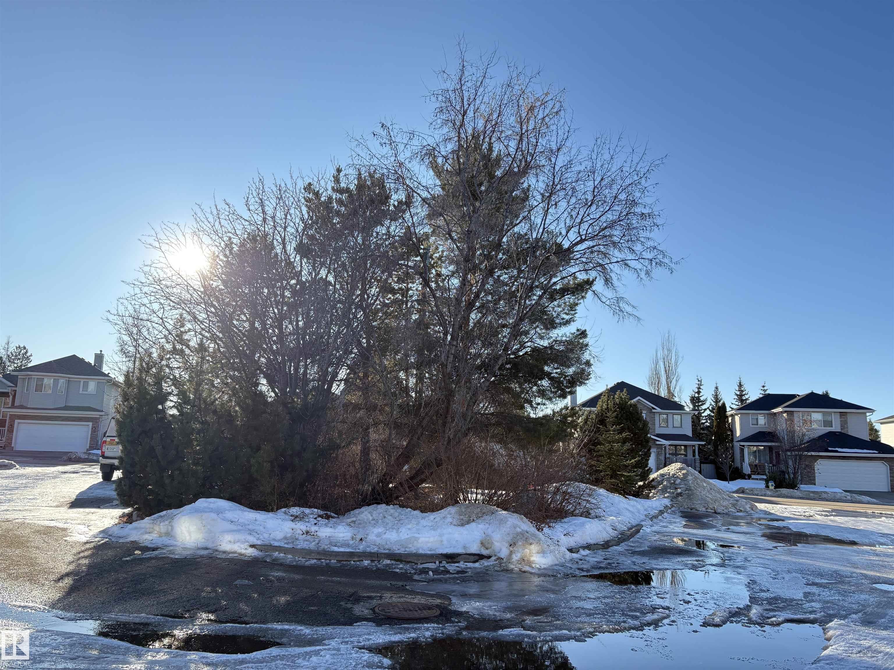 Photo 40 at 1317 Falconer Road NW, Falconer Heights, Edmonton