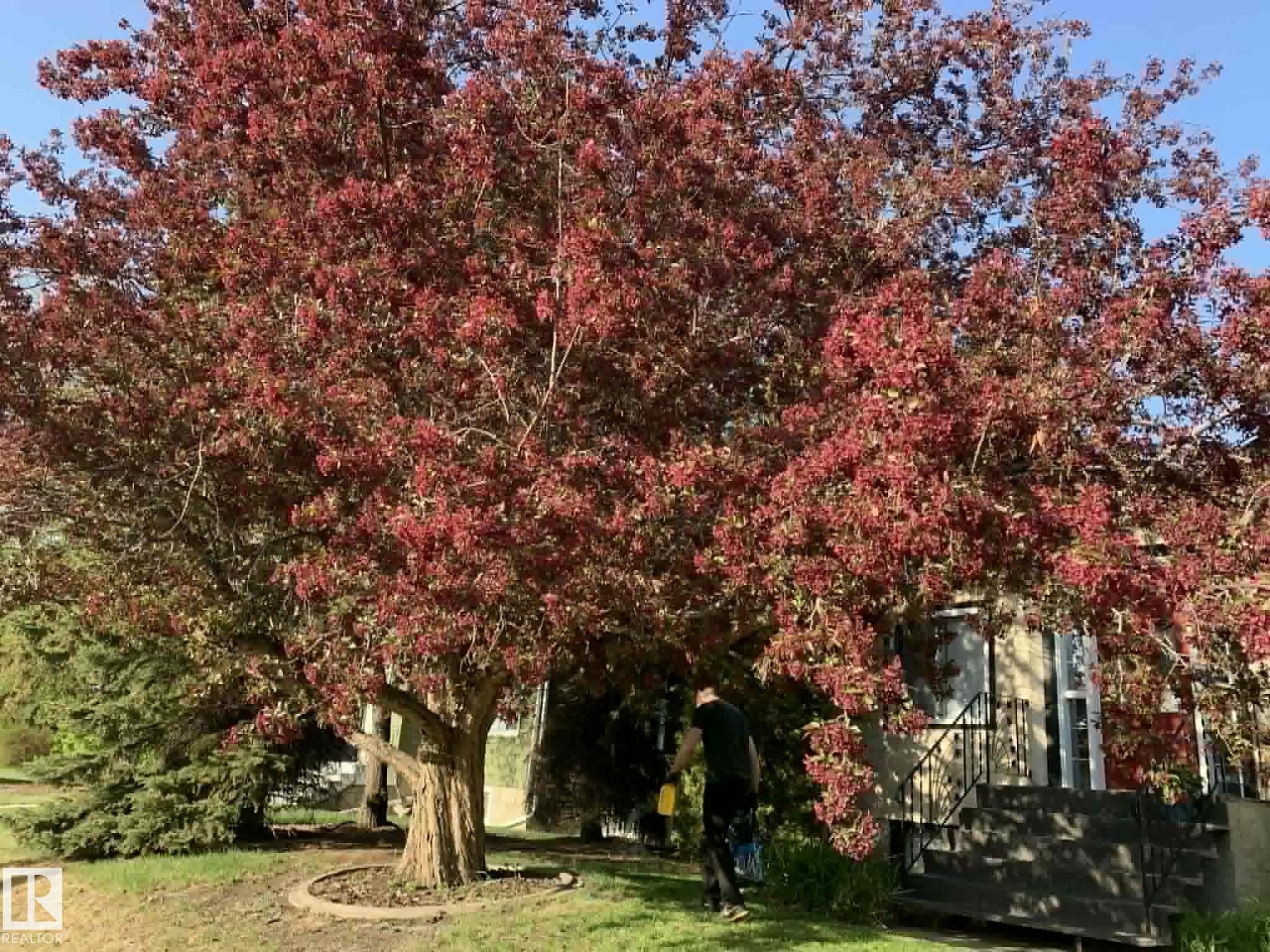 Photo 47 at 12013 54 Street NW, Newton, Edmonton