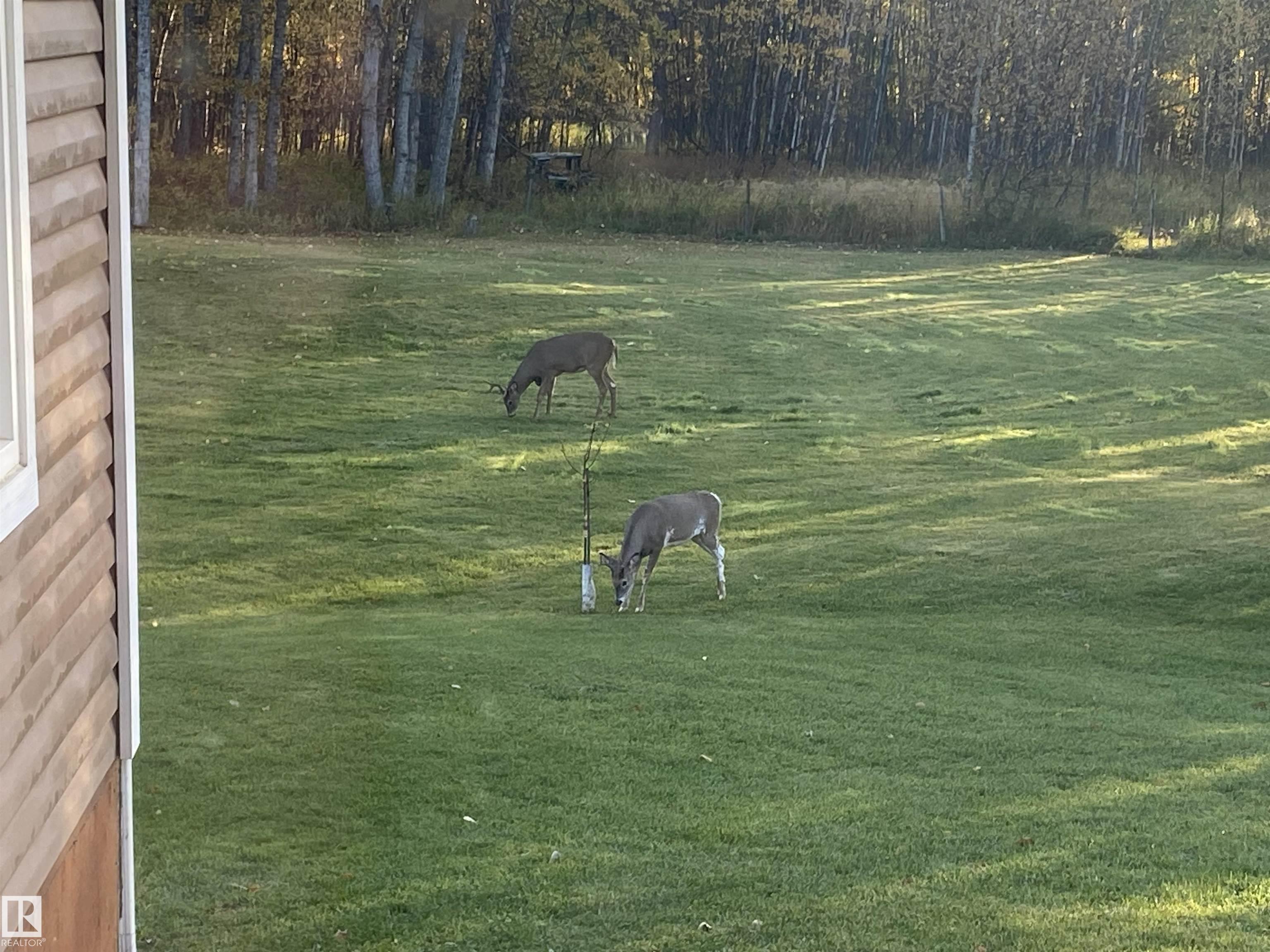 Photo 53 at 6127 Twp Road 540a, None, Rural Lac Ste. Anne County