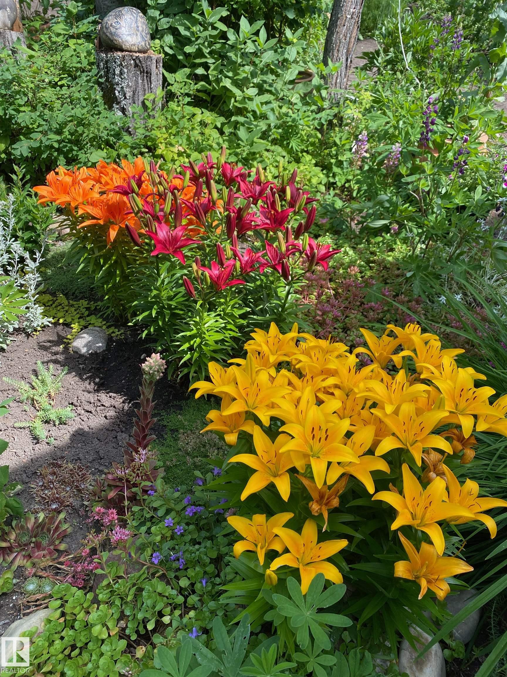 Photo 54 at 14 - 53301 Rge Road 32, Westland Park II, Rural Parkland County