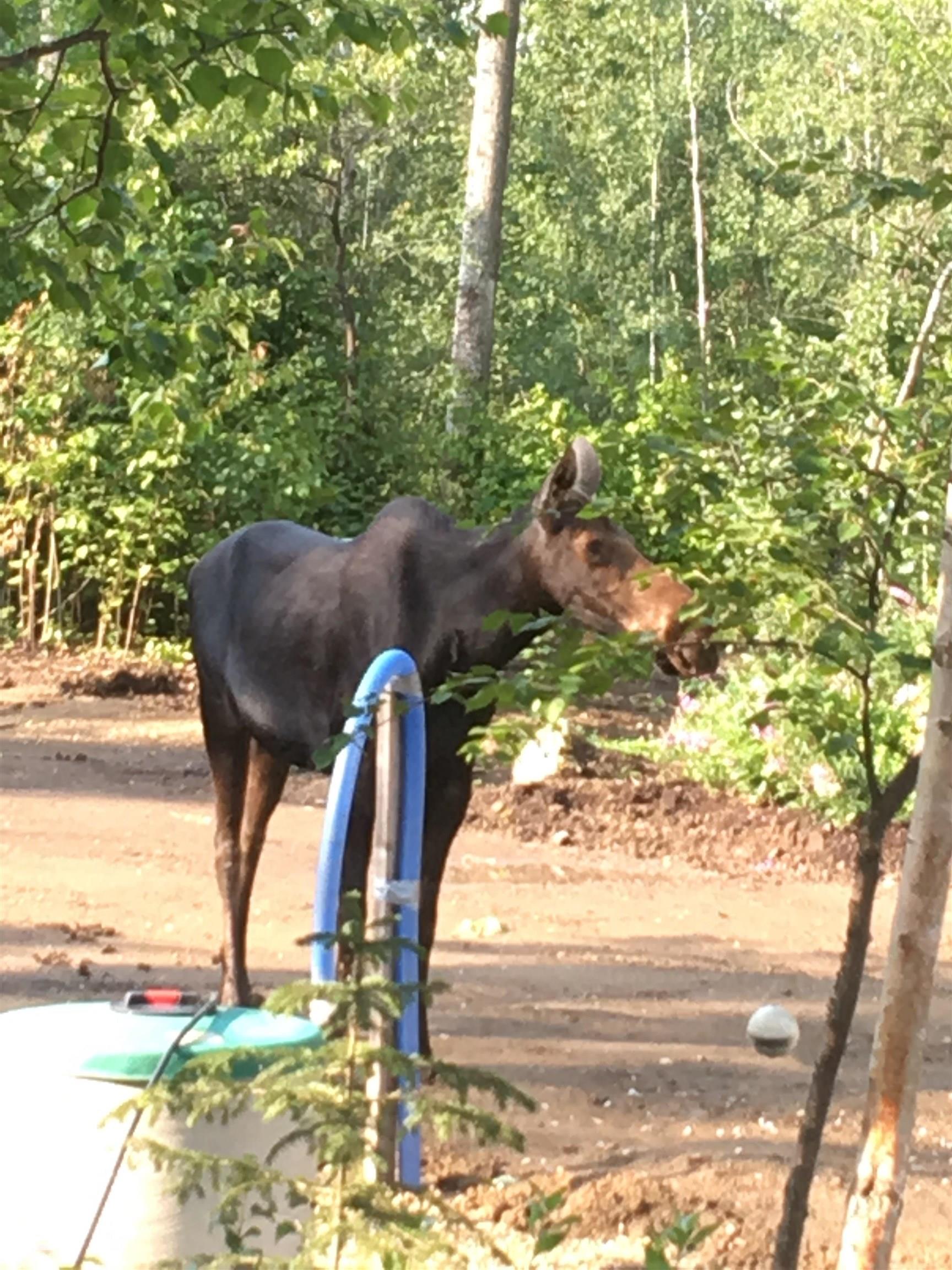 Photo 57 at 14 - 53301 Rge Road 32, Westland Park II, Rural Parkland County