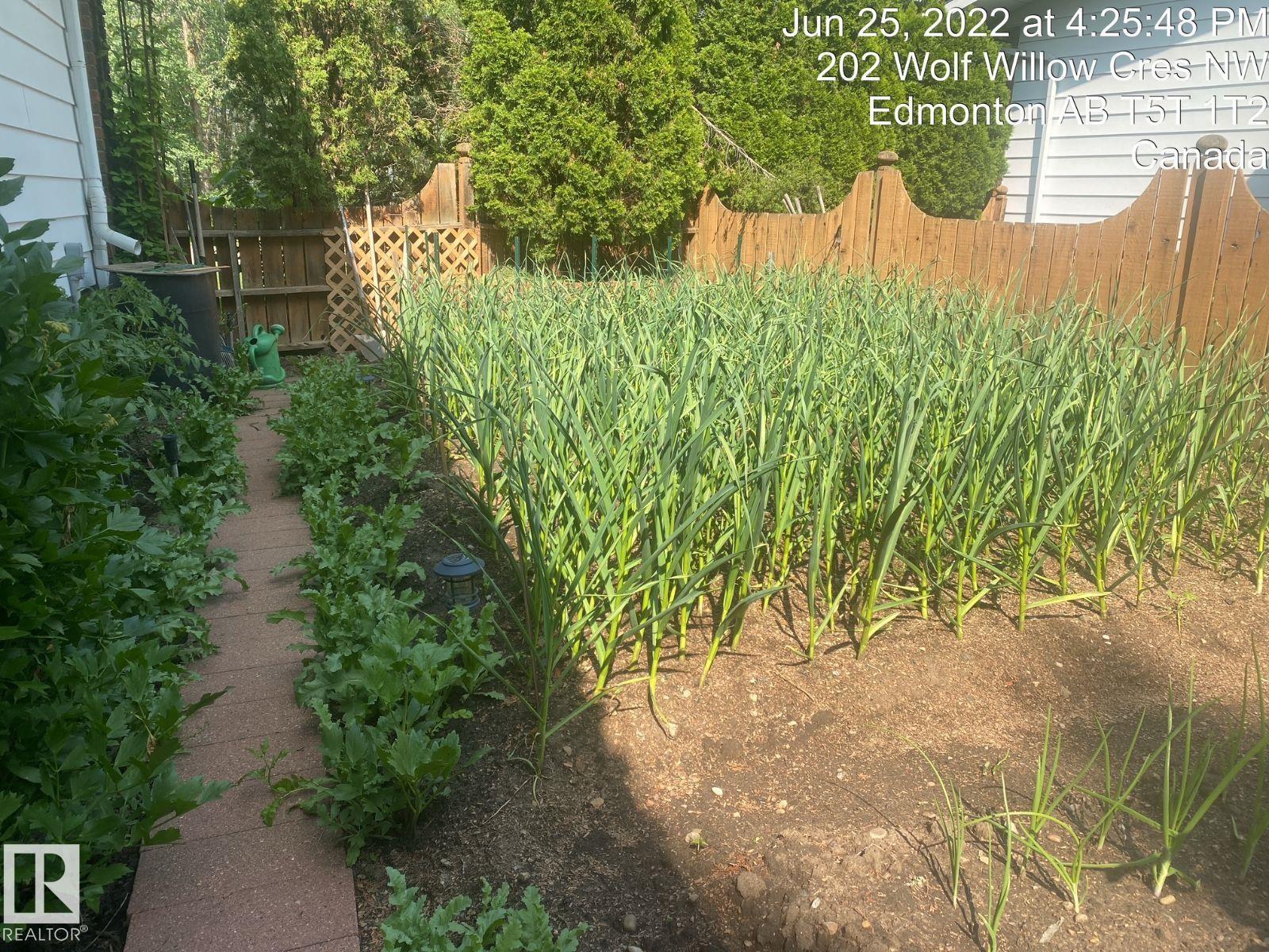 Photo 14 at 206 Wolf Willow Crescent NW, Westridge, Edmonton