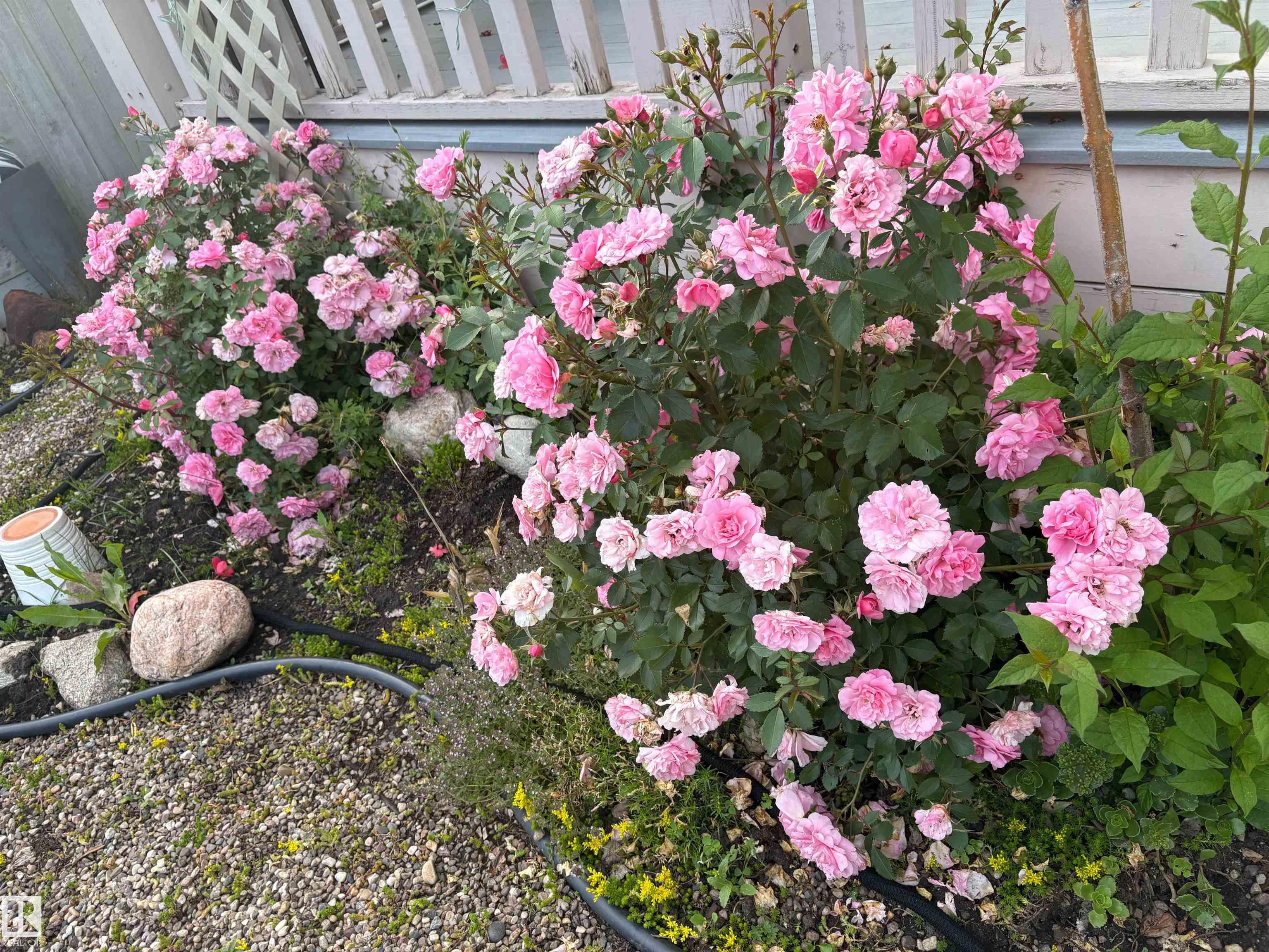 Photo 43 at 8311 171 Avenue NW, Klarvatten, Edmonton