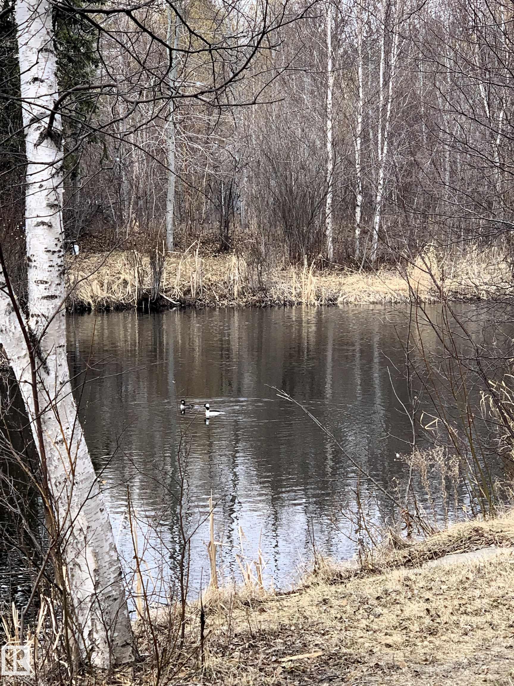 Photo 14 at 5 - 51221 Rge Road 265, Pine Valley Acres, Rural Parkland County