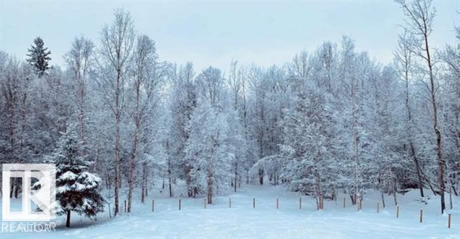 Photo 11 at 53508 Rge Road 35, None, Rural Lac Ste. Anne County