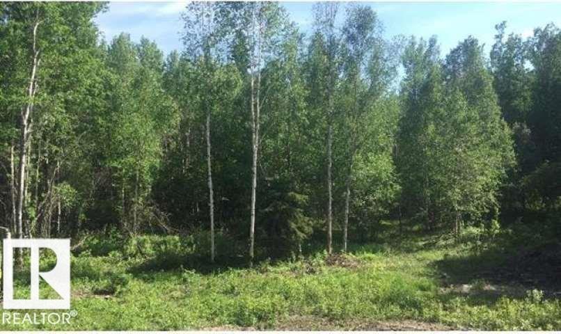 Photo 4 at 53508 Rge Road 35, None, Rural Lac Ste. Anne County