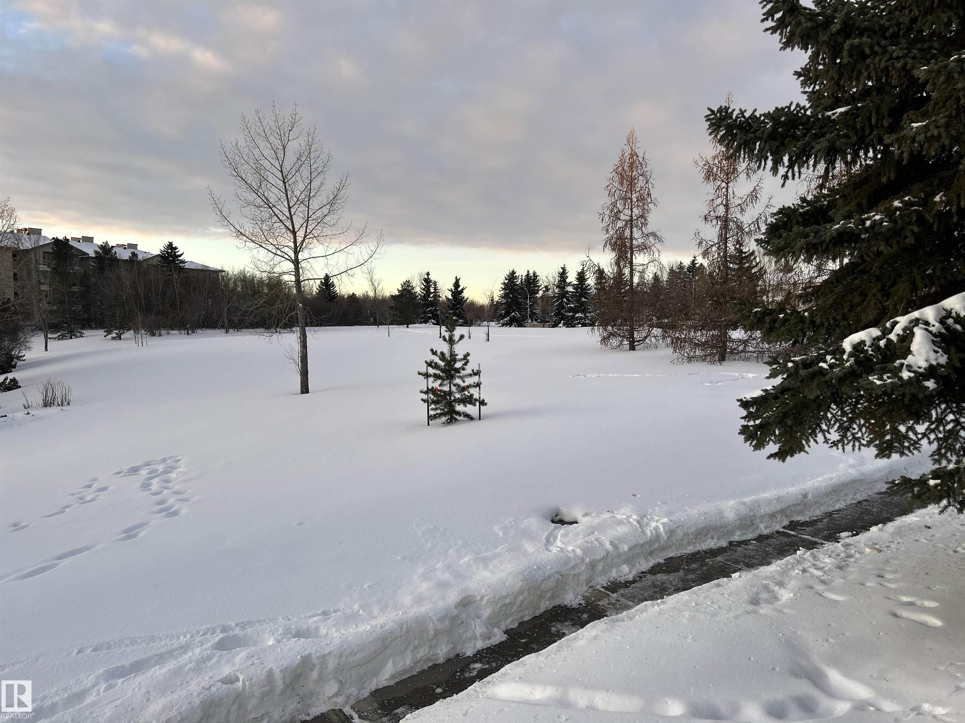 Photo 43 at 116 - 9730 174 Street NW, Terra Losa, Edmonton