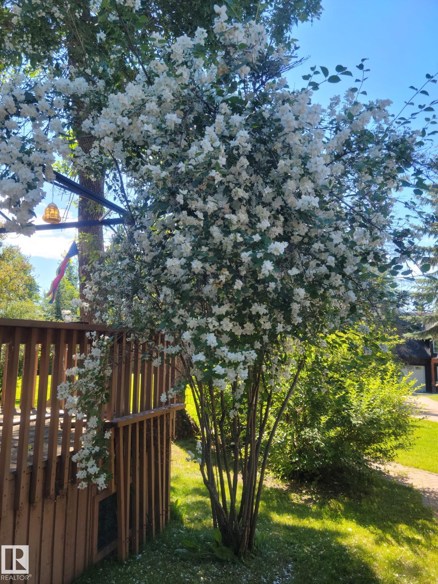 Photo 43 at 128 - 4521 Lakeshore Road, Whitewood Sands, Rural Parkland County