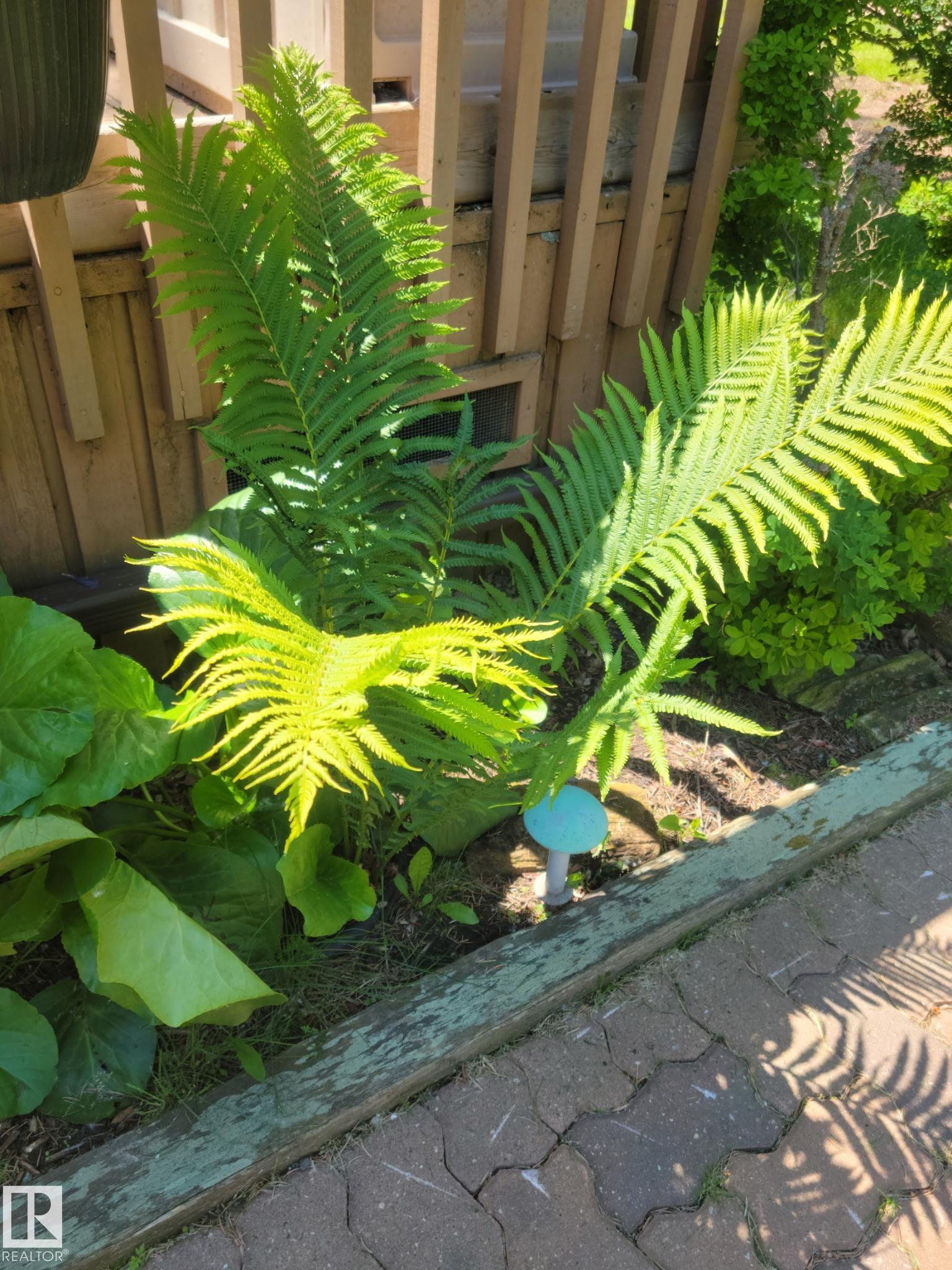 Photo 44 at 128 - 4521 Lakeshore Road, Whitewood Sands, Rural Parkland County