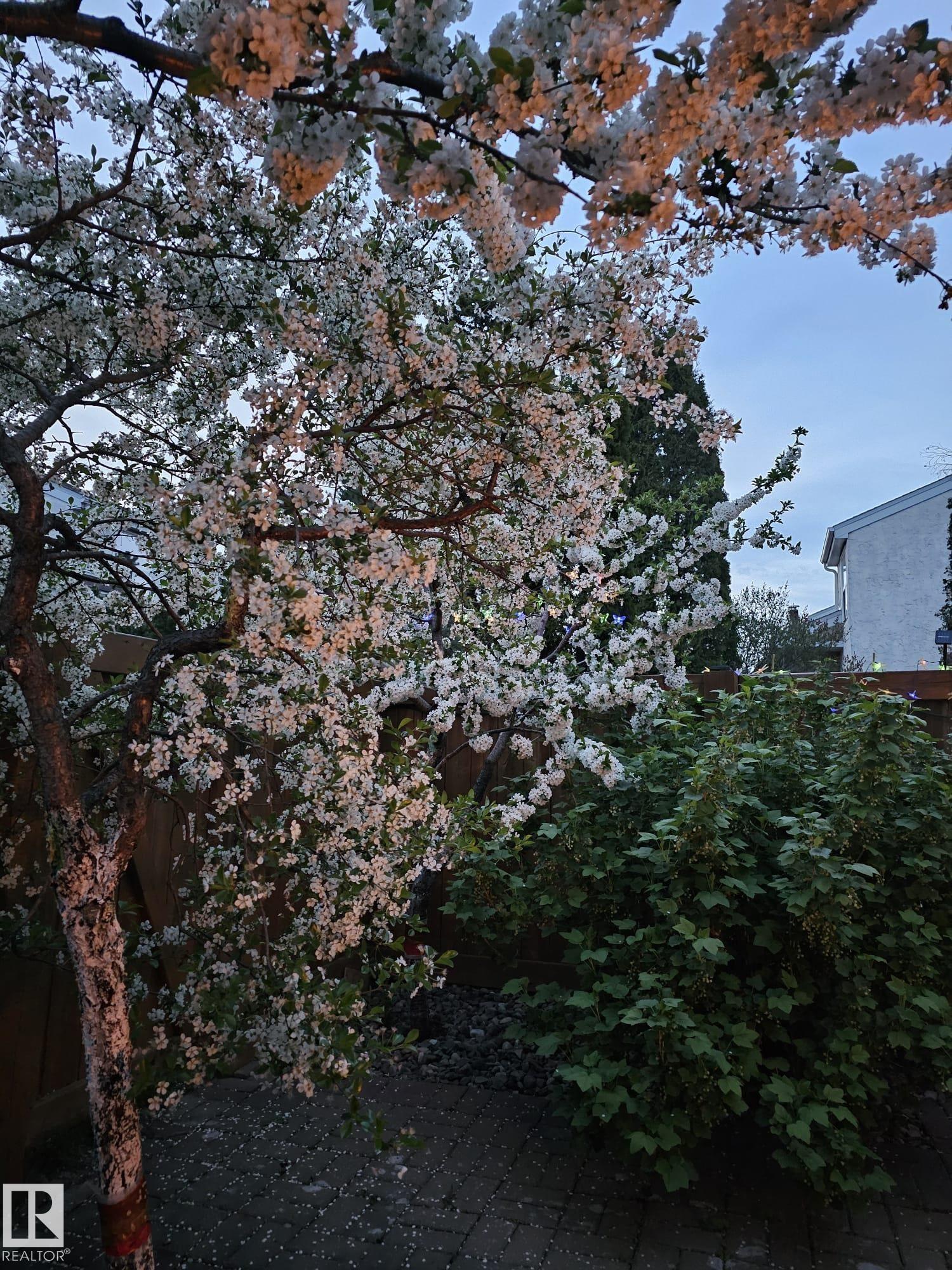 Photo 20 at 230 Chateau Place NW, Belmead, Edmonton