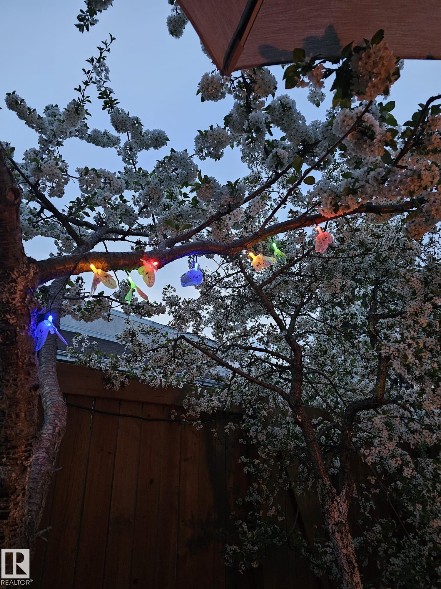 Photo 21 at 230 Chateau Place NW, Belmead, Edmonton