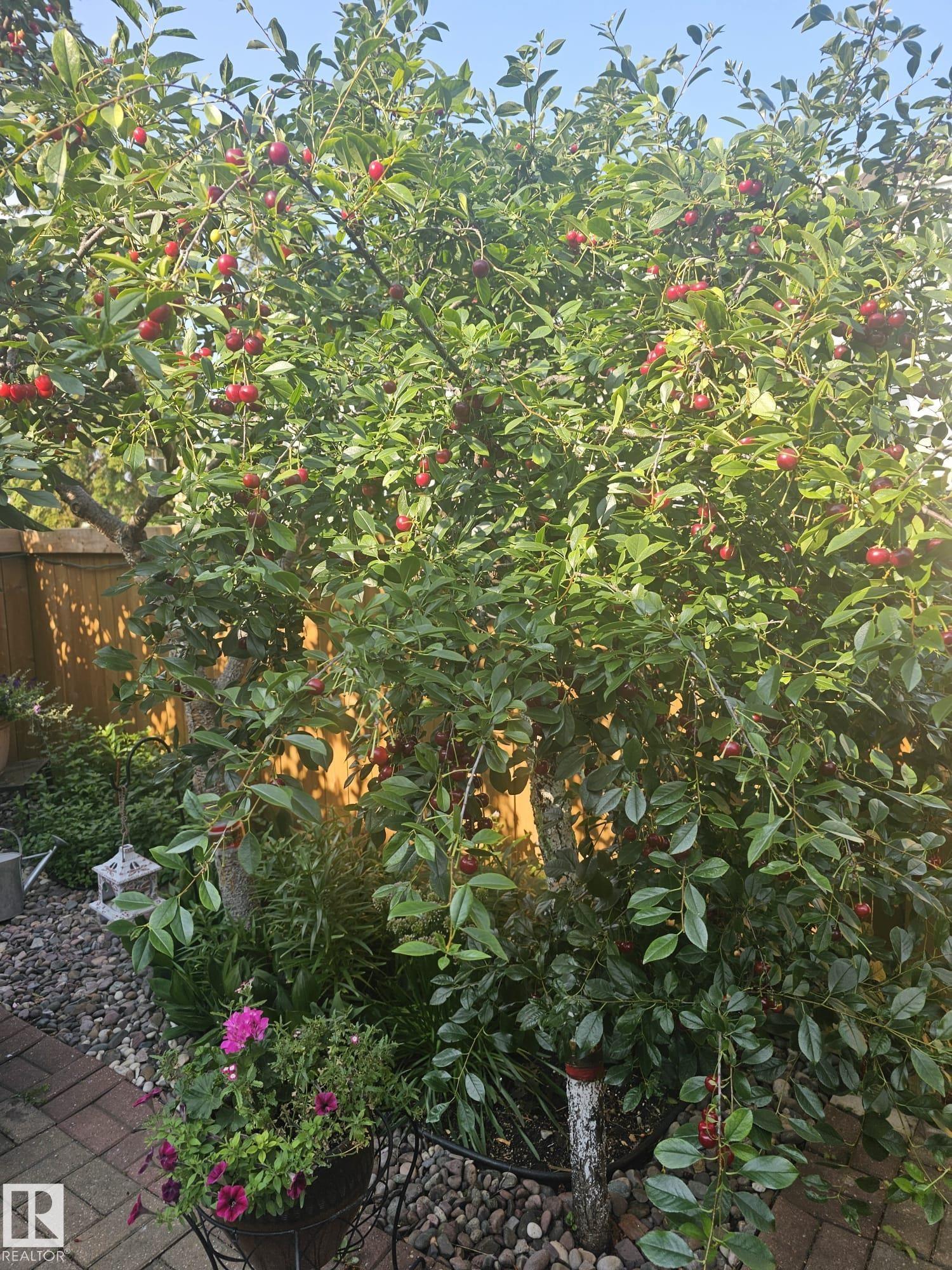 Photo 22 at 230 Chateau Place NW, Belmead, Edmonton