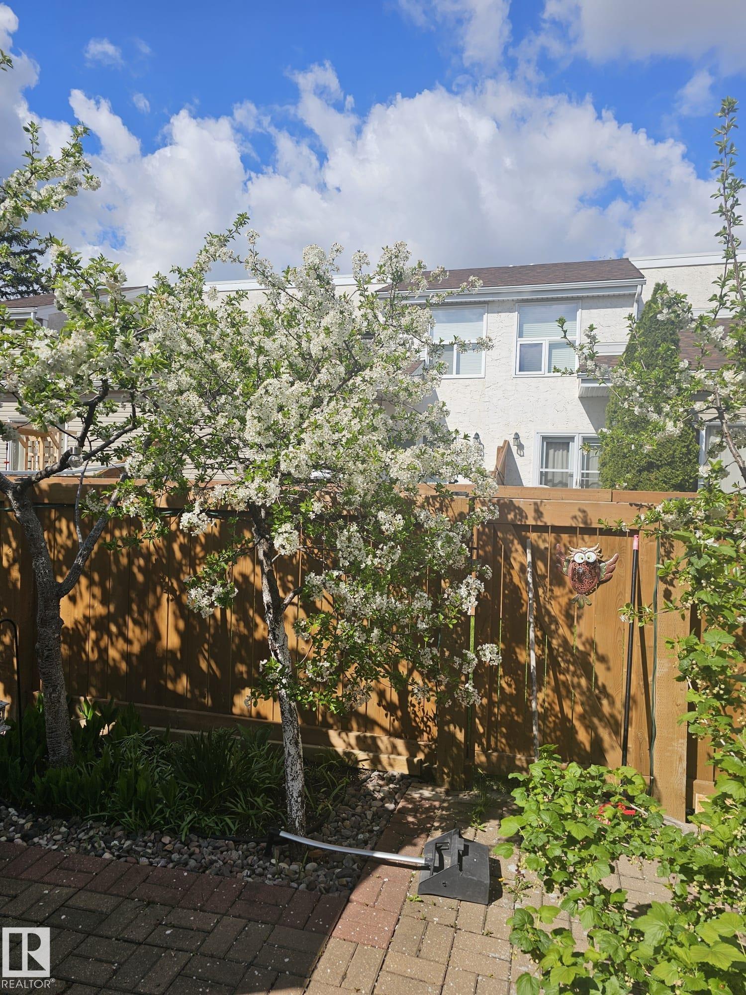 Photo 24 at 230 Chateau Place NW, Belmead, Edmonton