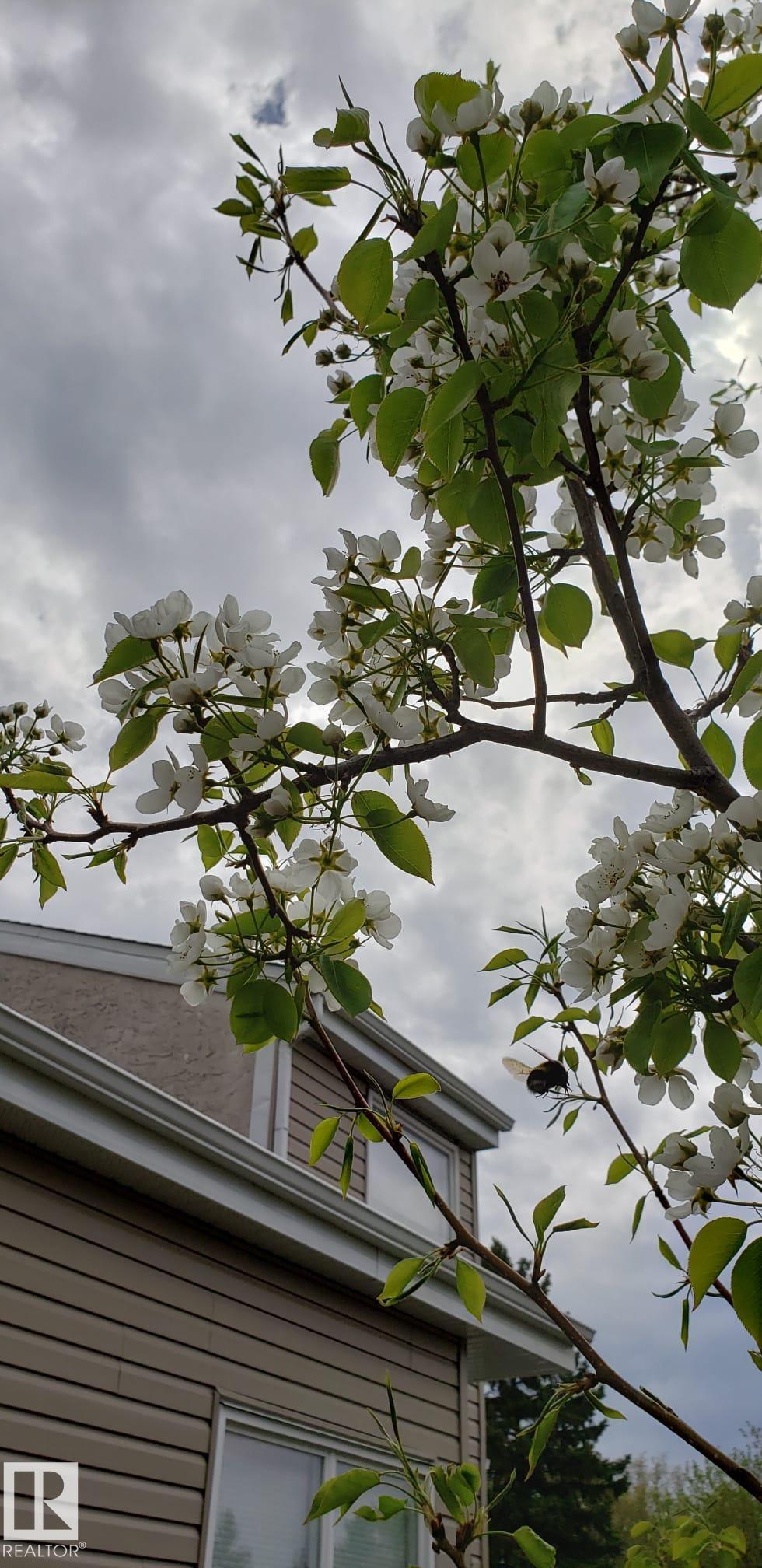 Photo 26 at 230 Chateau Place NW, Belmead, Edmonton