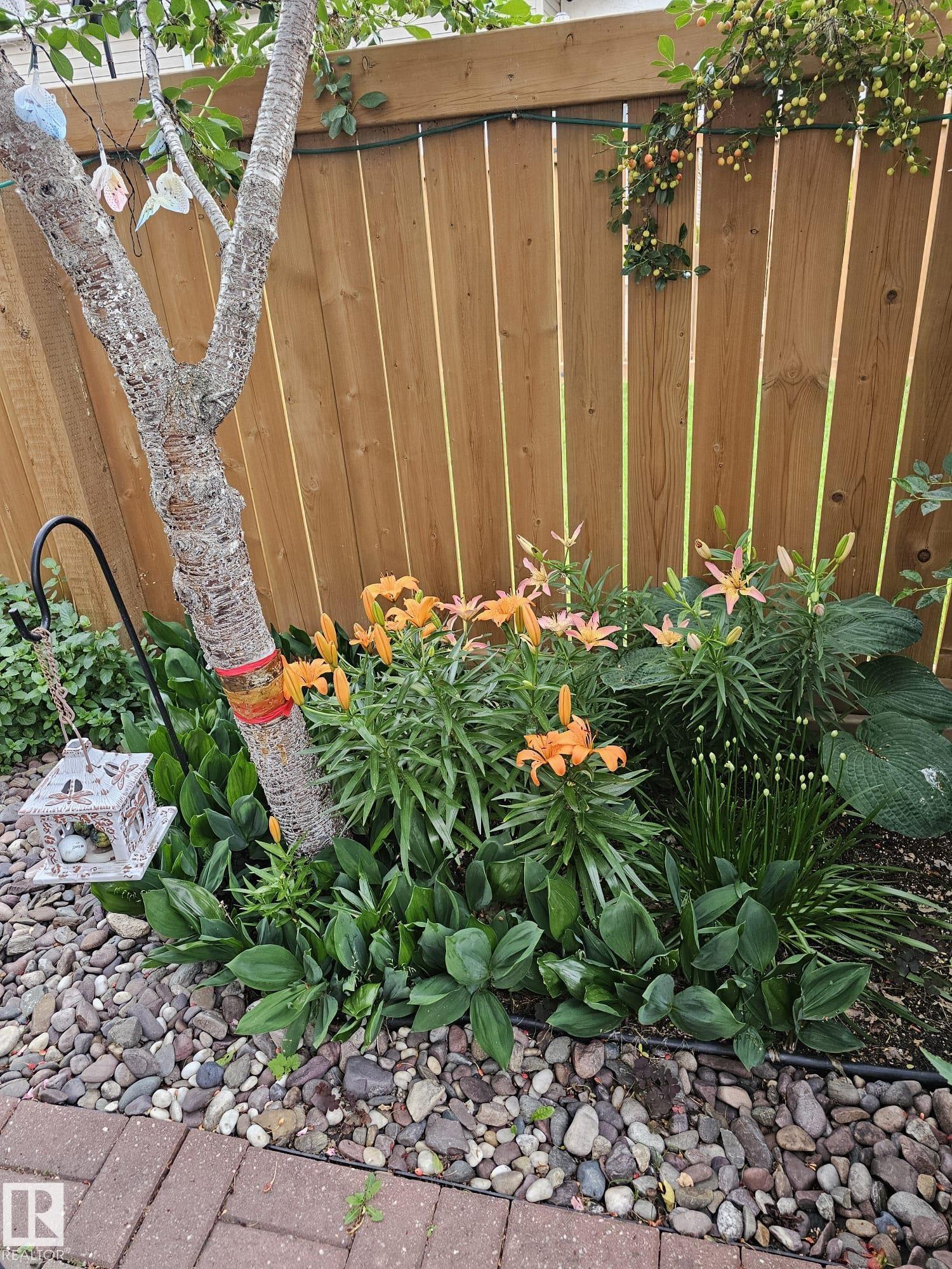 Photo 28 at 230 Chateau Place NW, Belmead, Edmonton