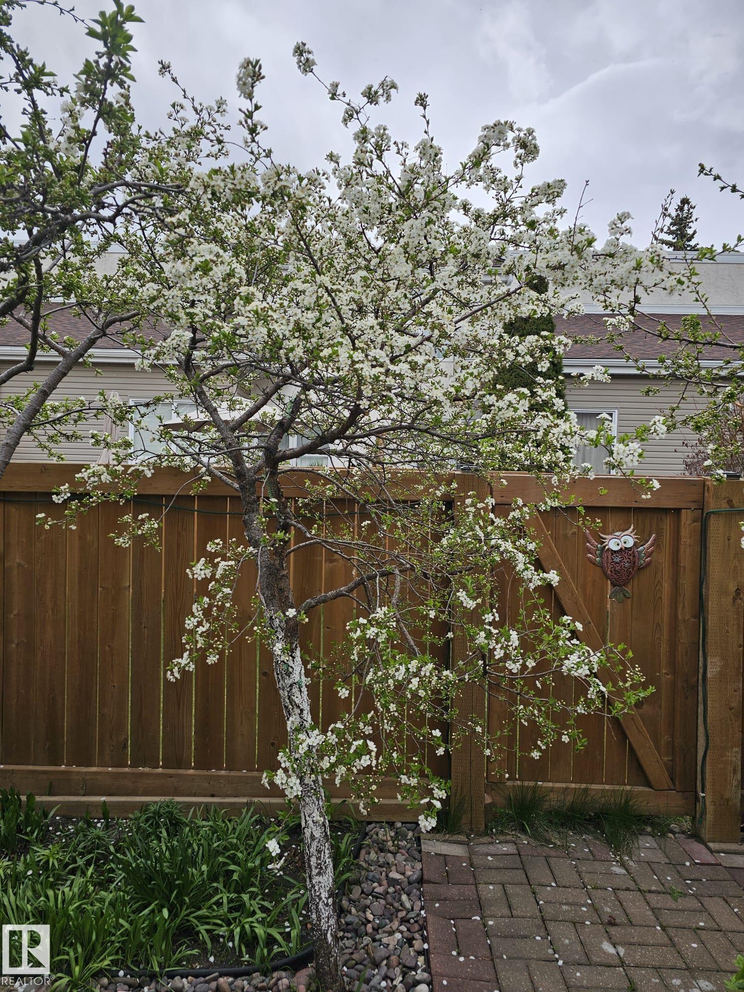 Photo 30 at 230 Chateau Place NW, Belmead, Edmonton