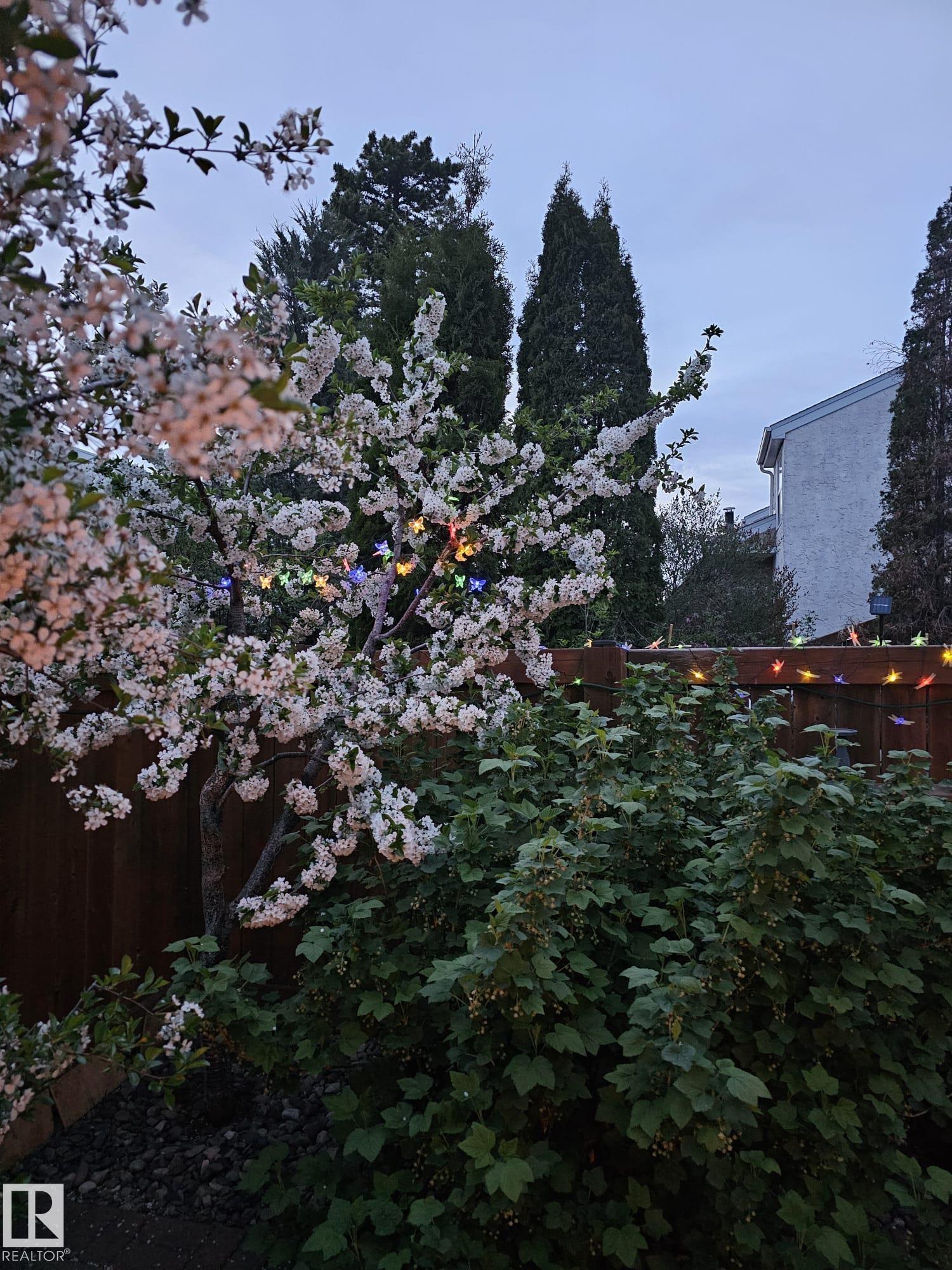 Photo 32 at 230 Chateau Place NW, Belmead, Edmonton