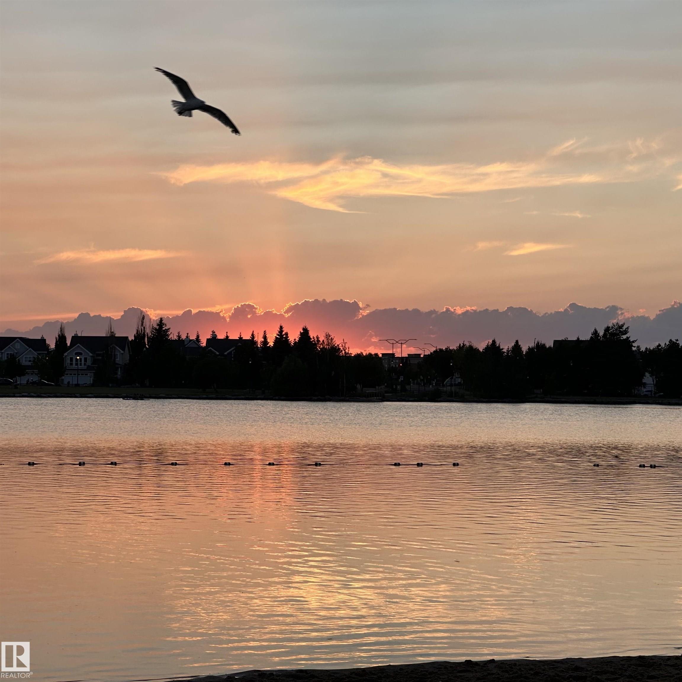 Photo 56 at 74 - 4050 Savaryn Drive SW, Summerside, Edmonton