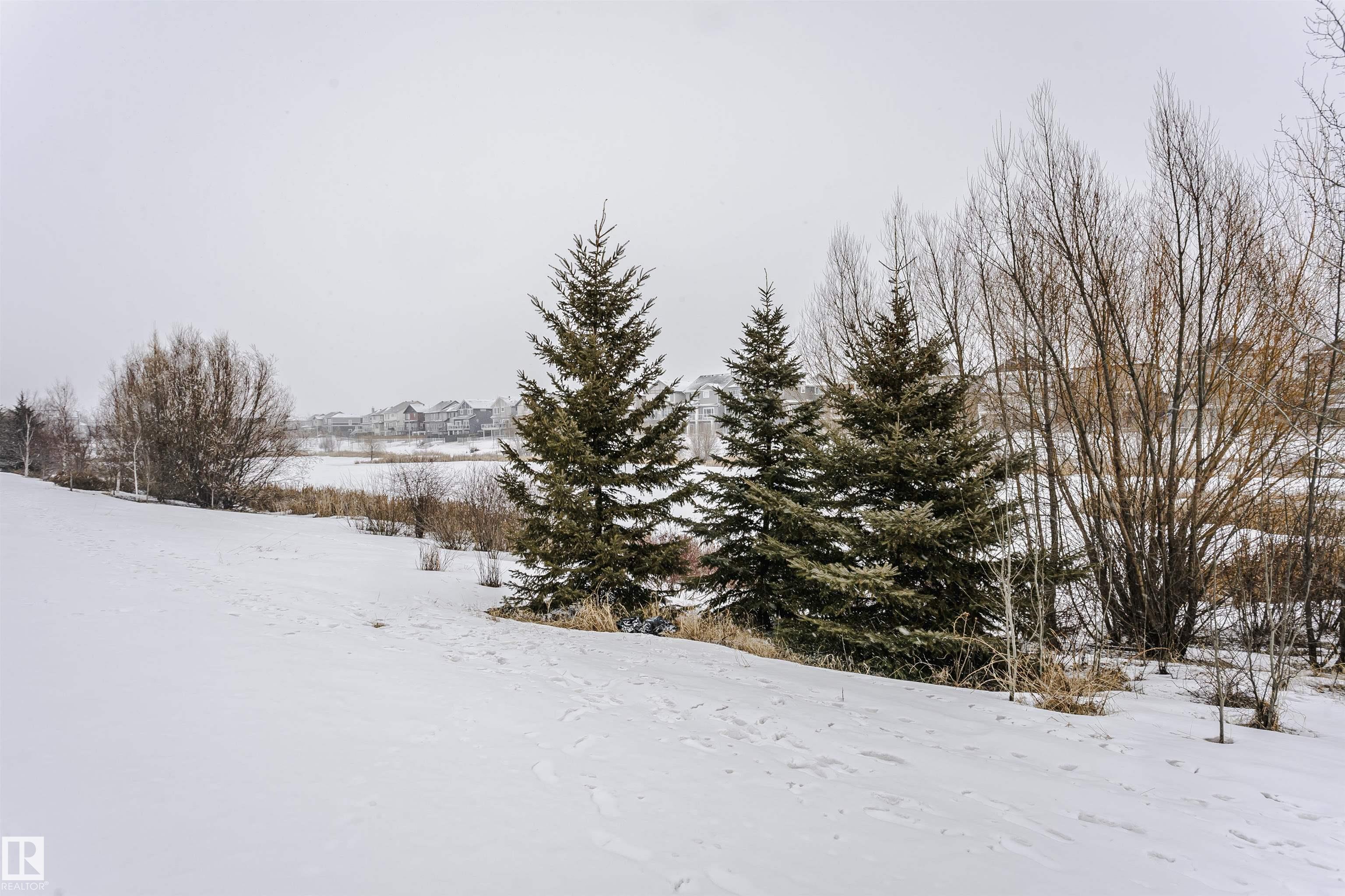 Photo 26 at 9735 223 Street NW, Secord, Edmonton