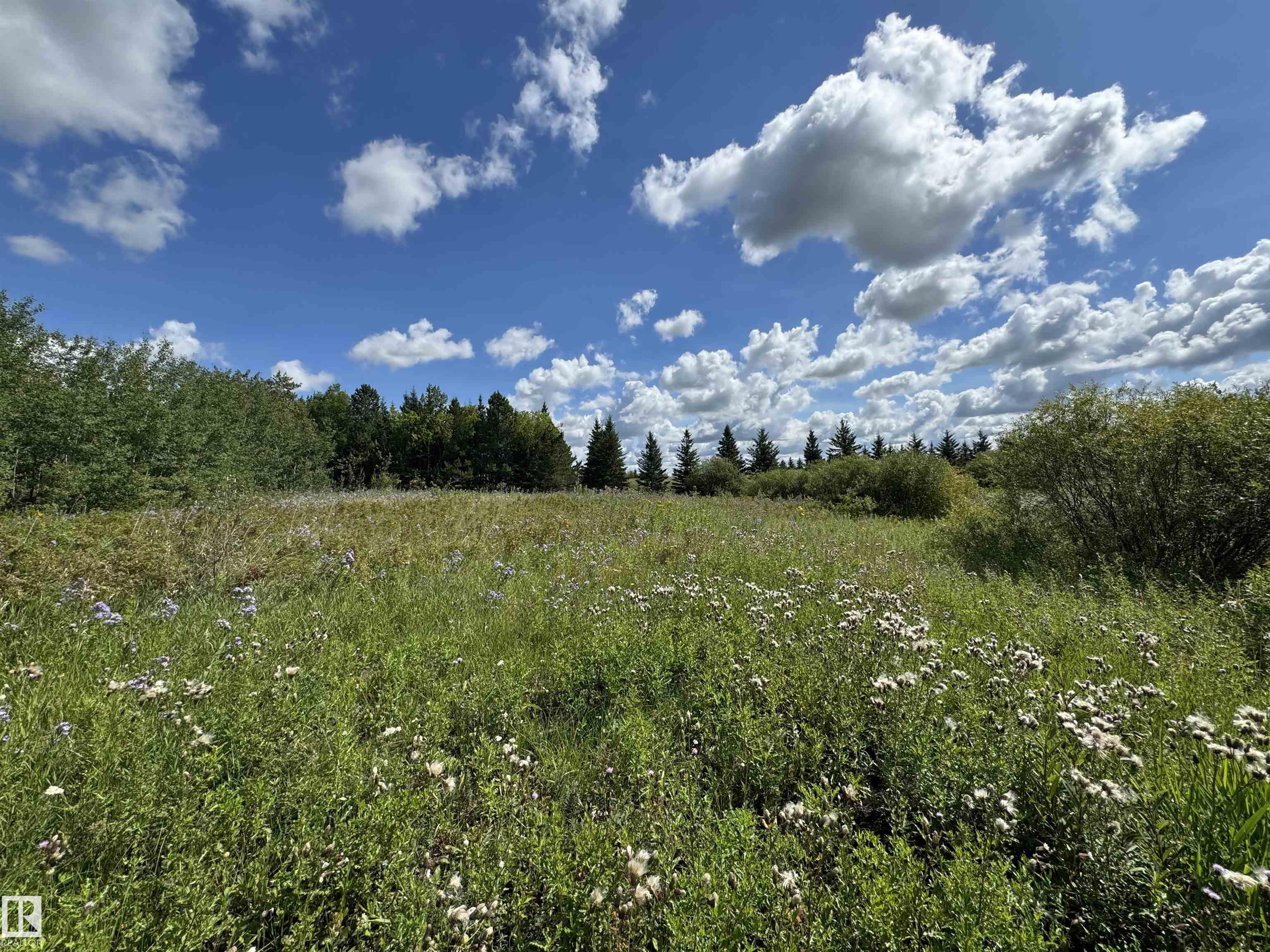 Photo 9 at 90 - 50205 Rge Road 232, Brookside Estates, Rural Leduc County