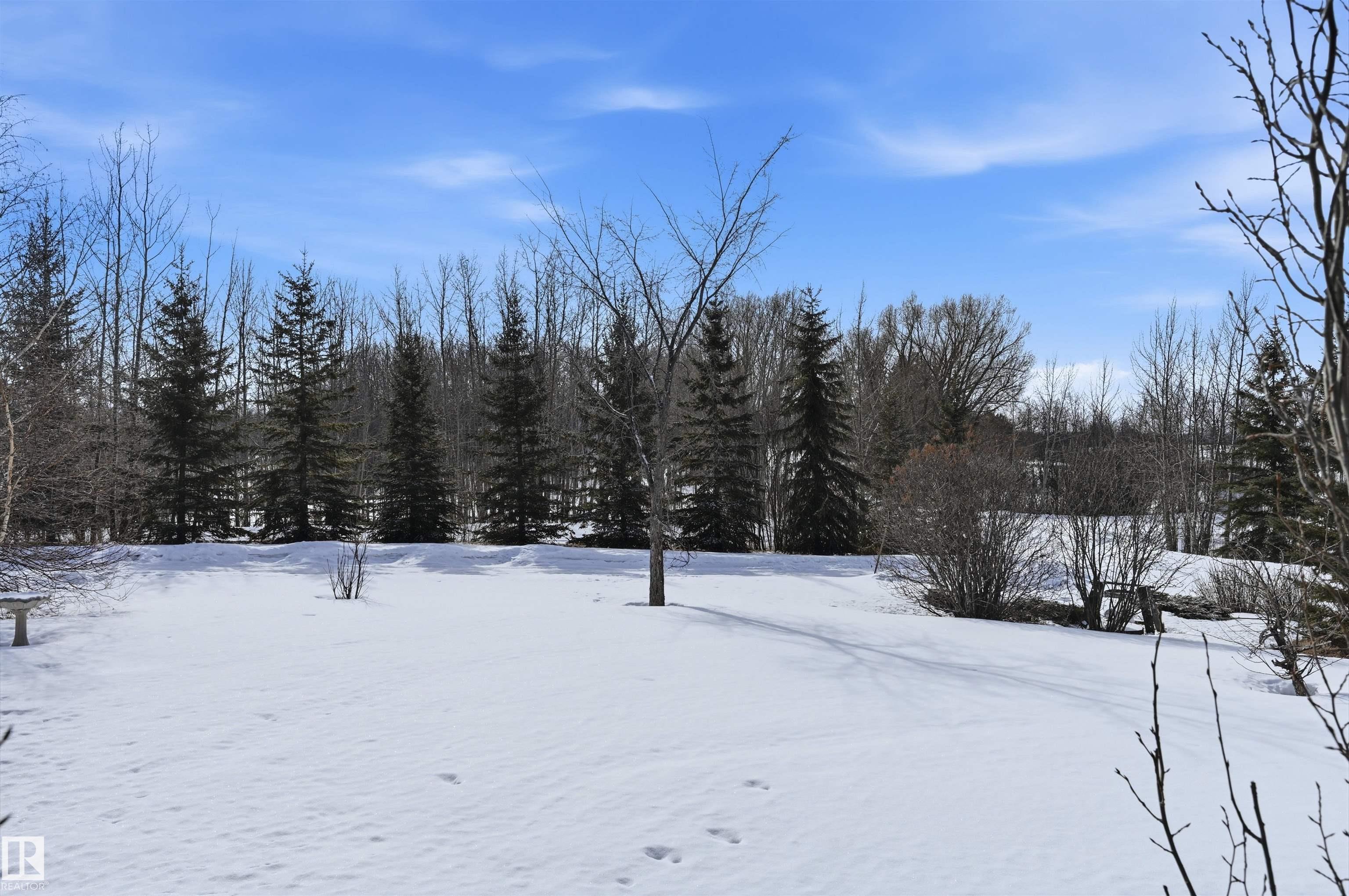 Photo 42 at 370 - 50247 Rge Rd 232, Scottsdale Estates, Rural Leduc County