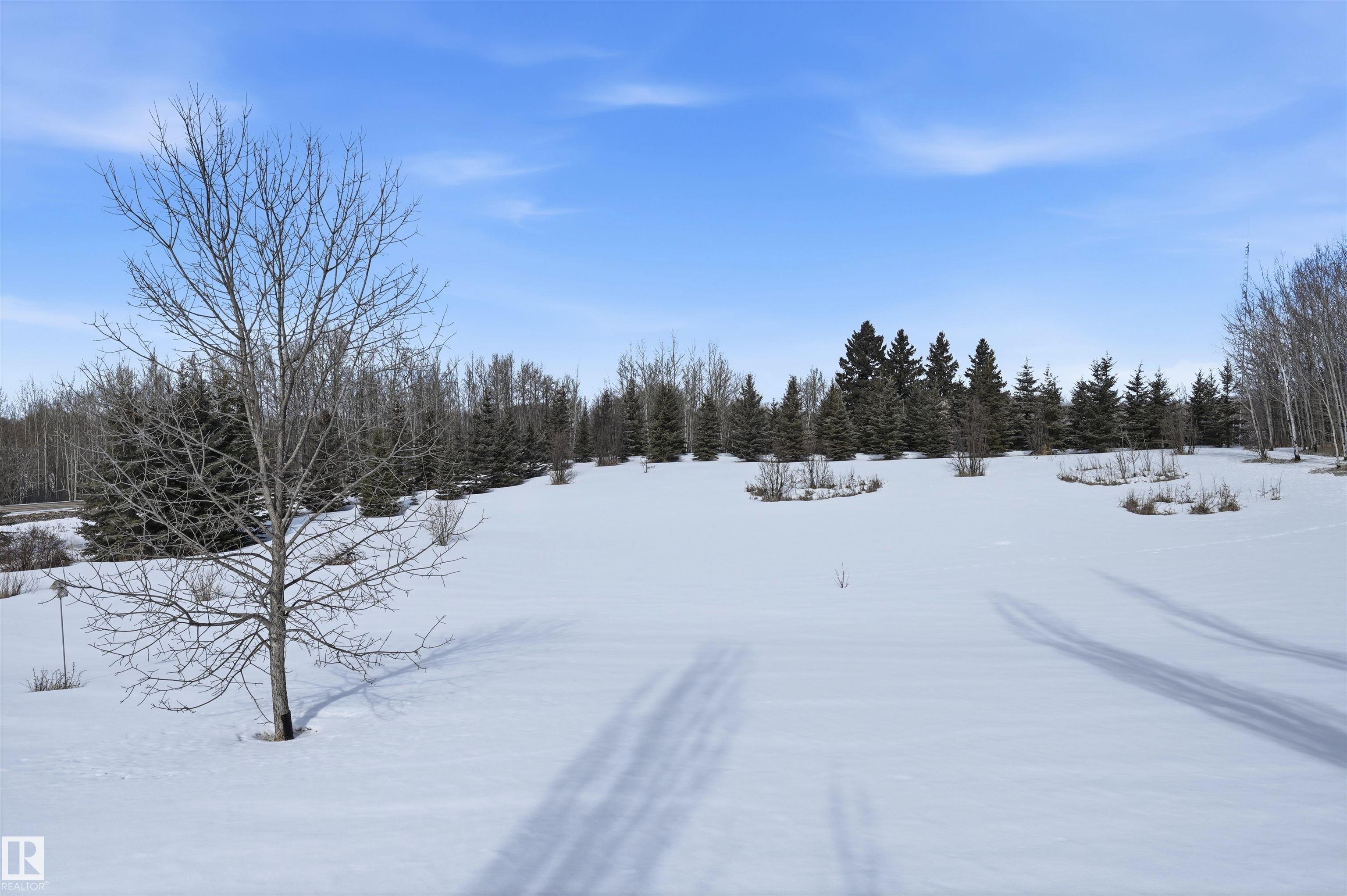 Photo 43 at 370 - 50247 Rge Rd 232, Scottsdale Estates, Rural Leduc County