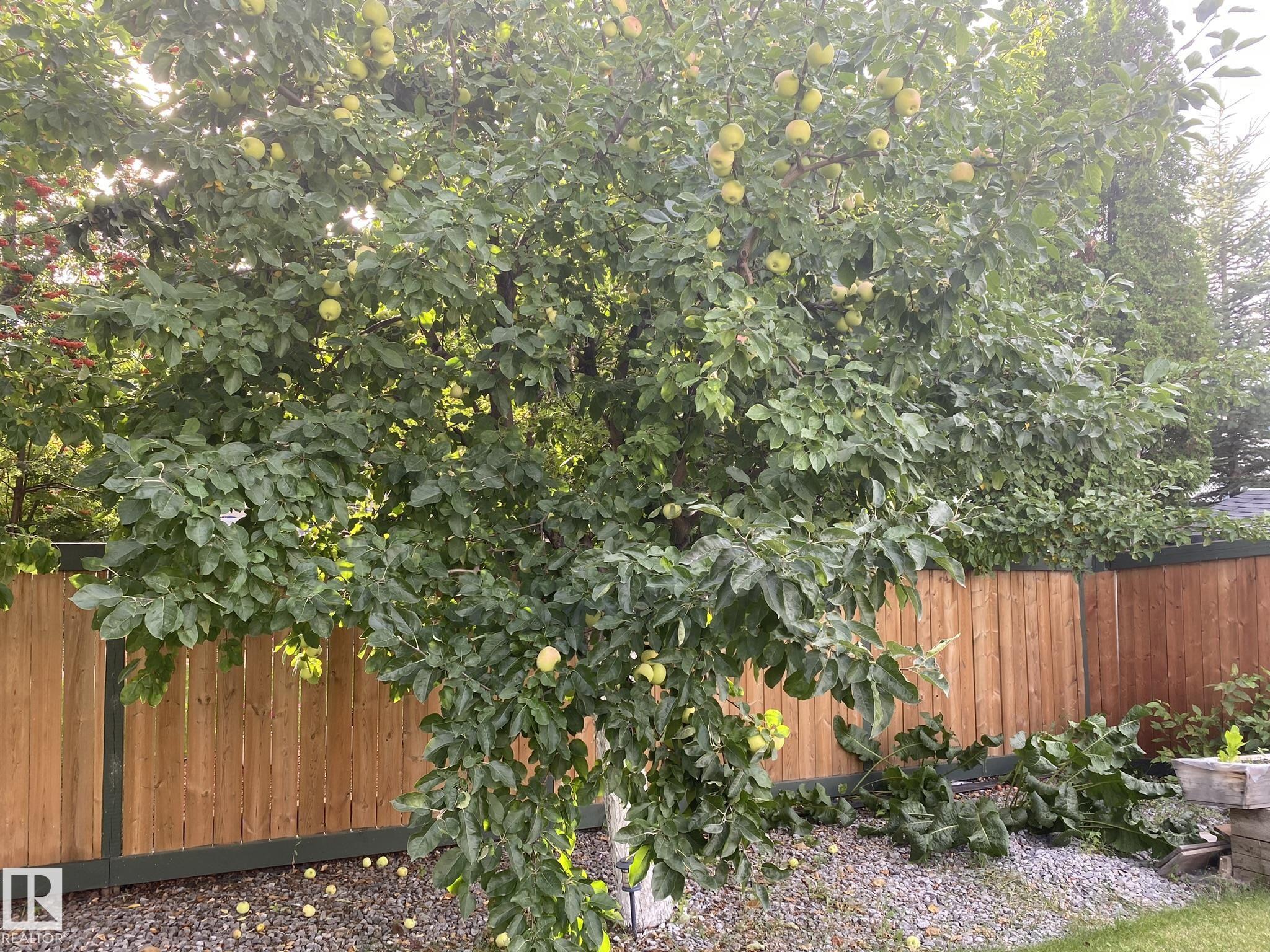 Photo 52 at 3912 30 Street NW, Larkspur, Edmonton