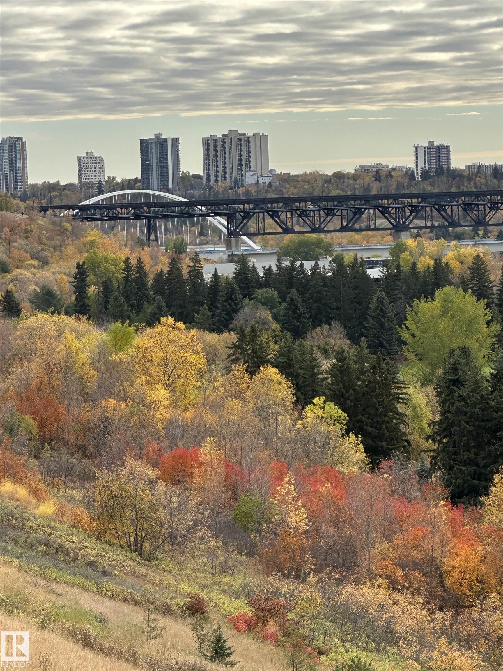 Photo 67 at 11503 100 Avenue NW, Wîhkwêntôwin, Edmonton