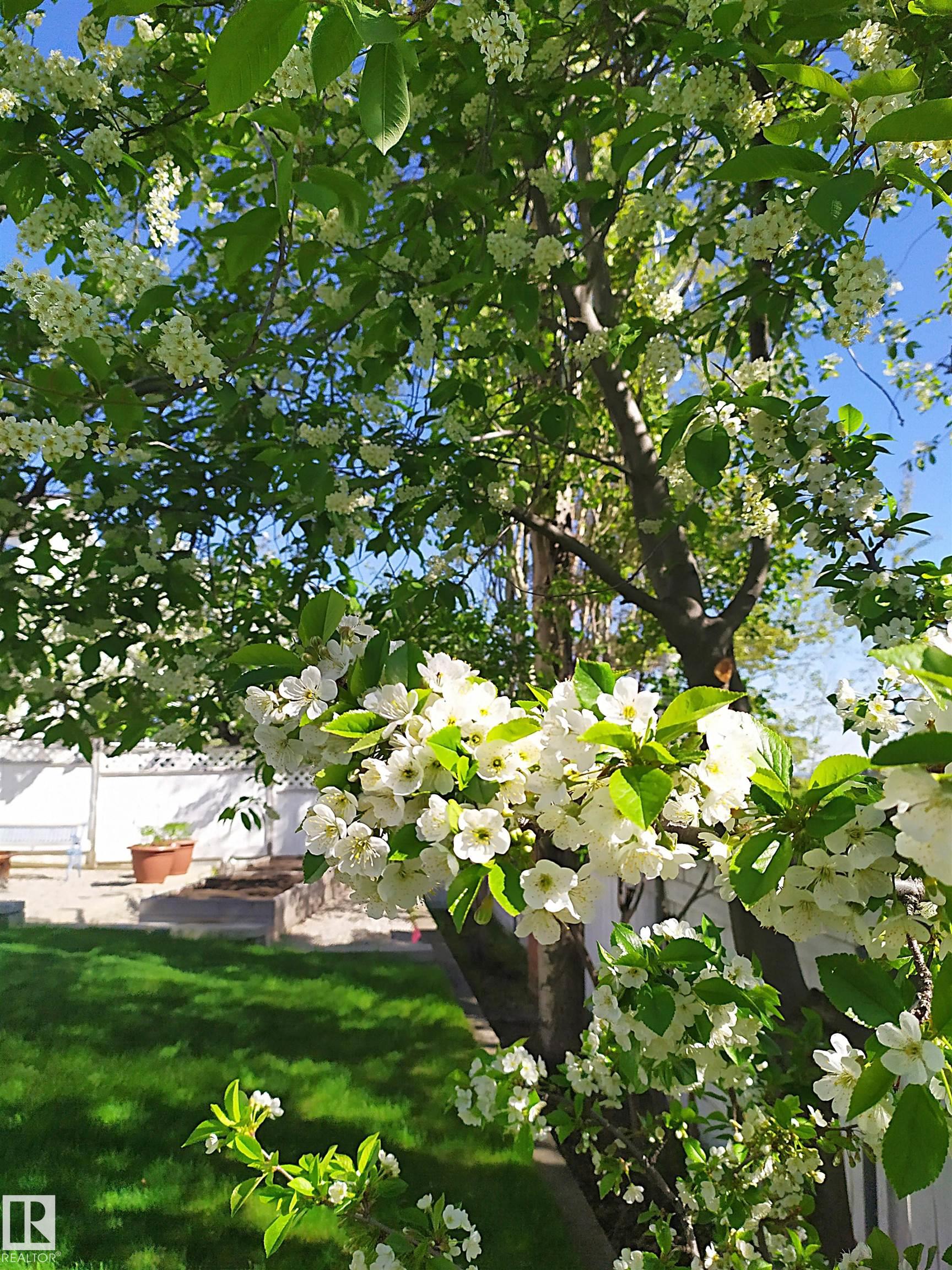 Photo 72 at 90 Highland Way, Heritage Point, Sherwood Park