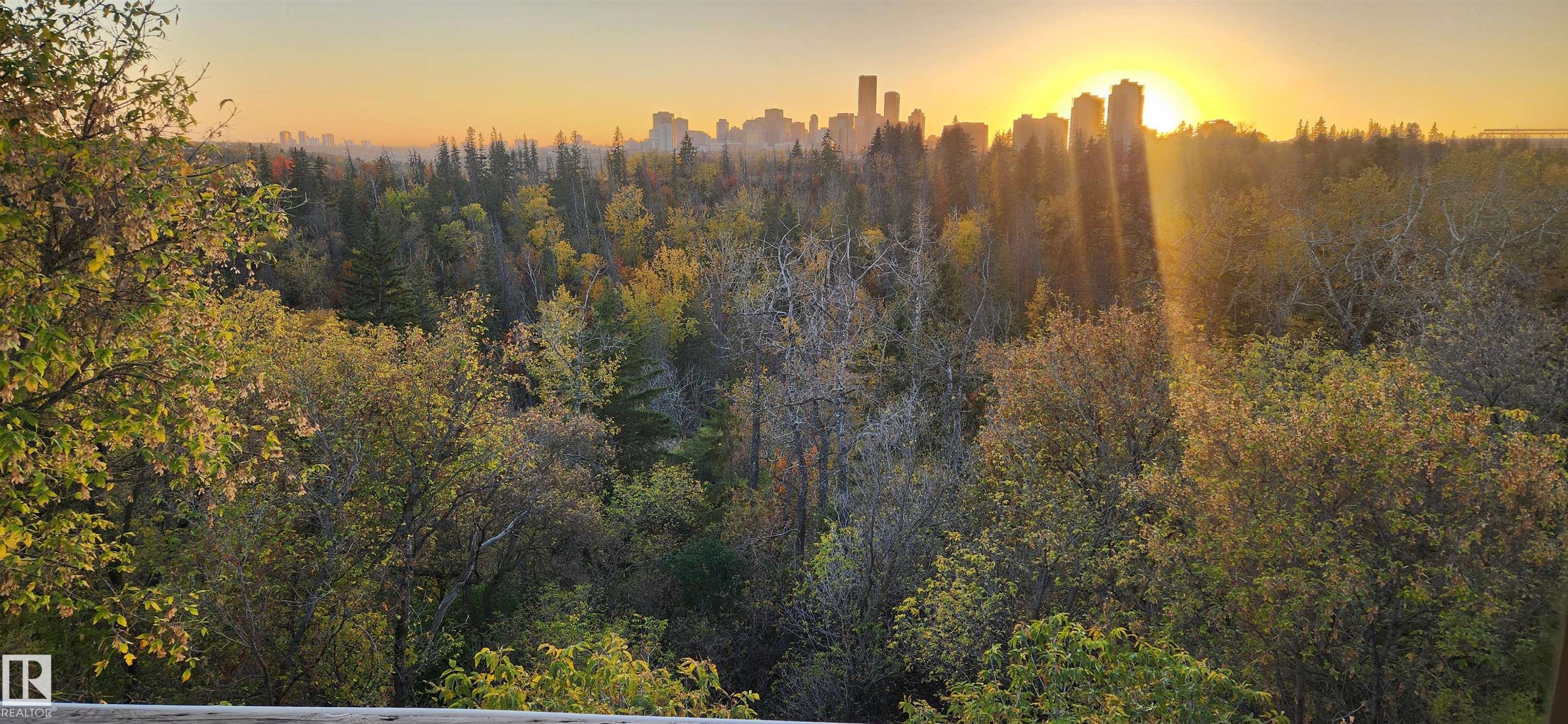 Photo 7 at 10870 75 Street NW, Virginia Park, Edmonton