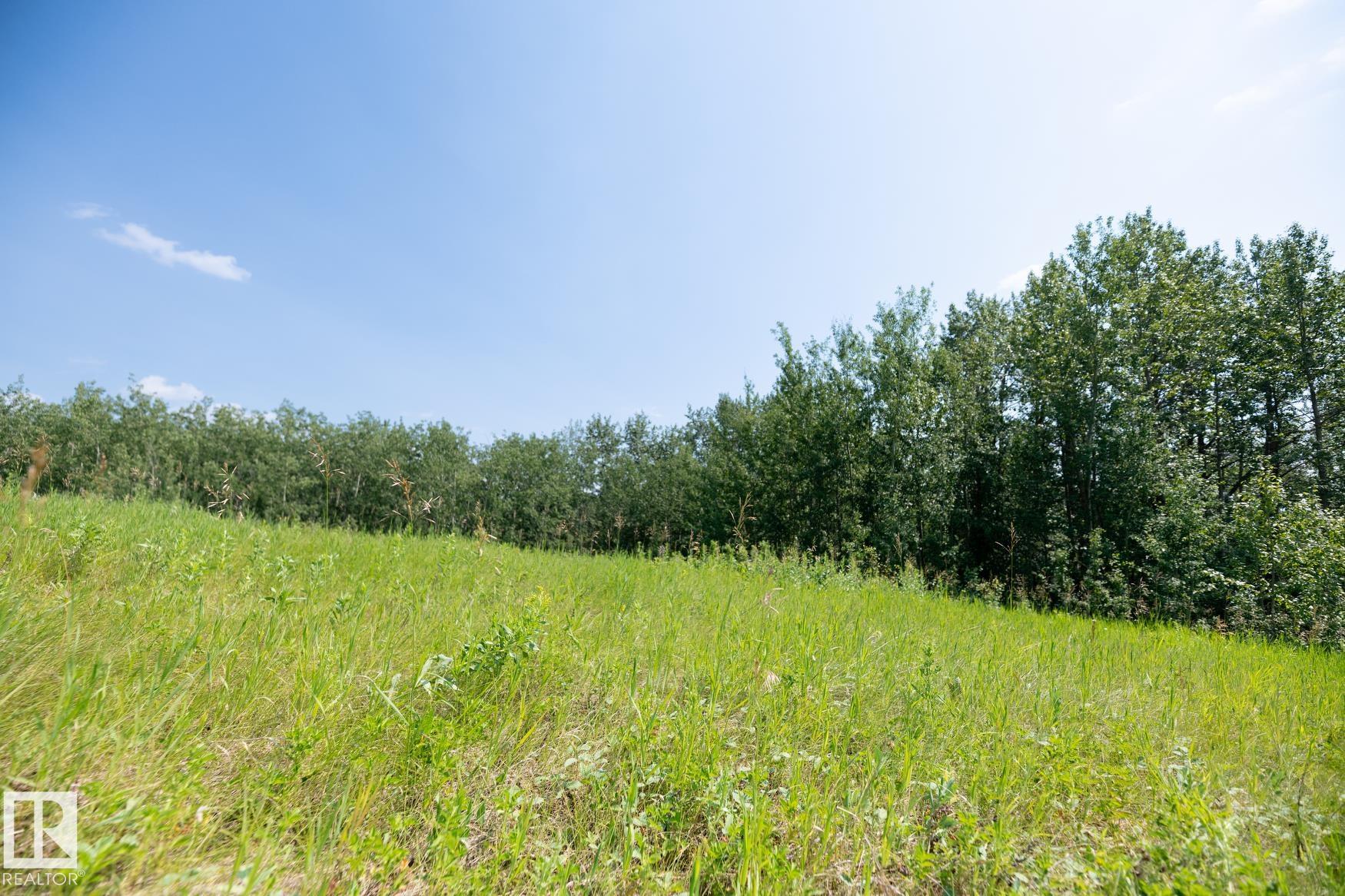 Photo 19 at 23246 Twp  Rd 521a, None, Rural Strathcona County