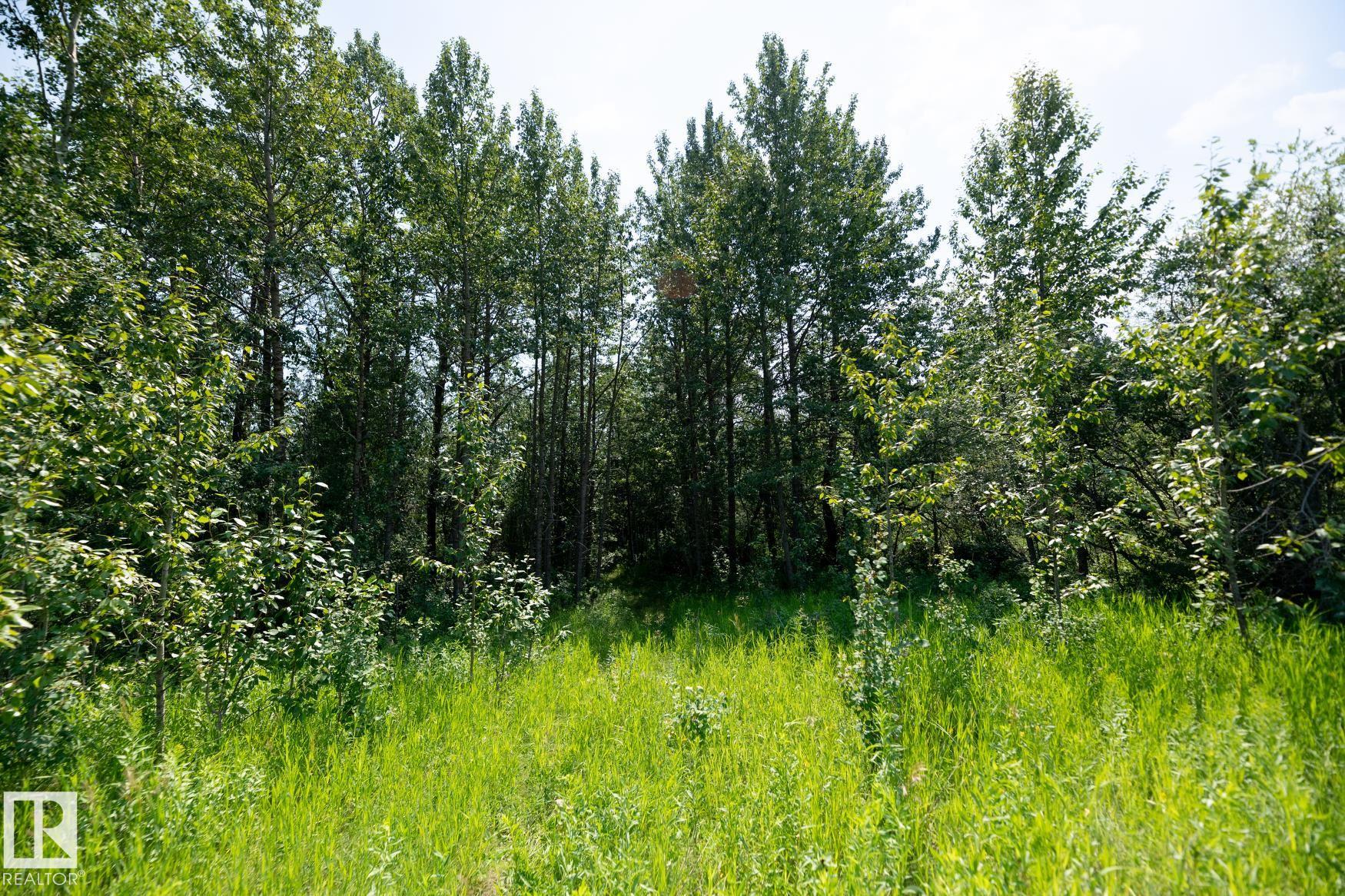 Photo 21 at 23246 Twp  Rd 521a, None, Rural Strathcona County