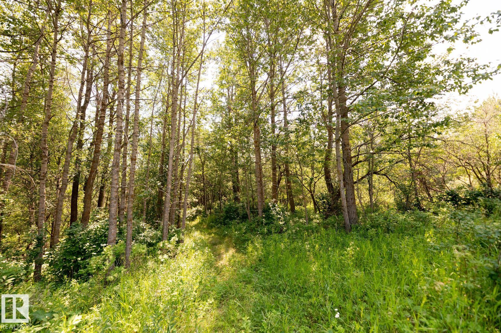 Photo 22 at 23246 Twp  Rd 521a, None, Rural Strathcona County