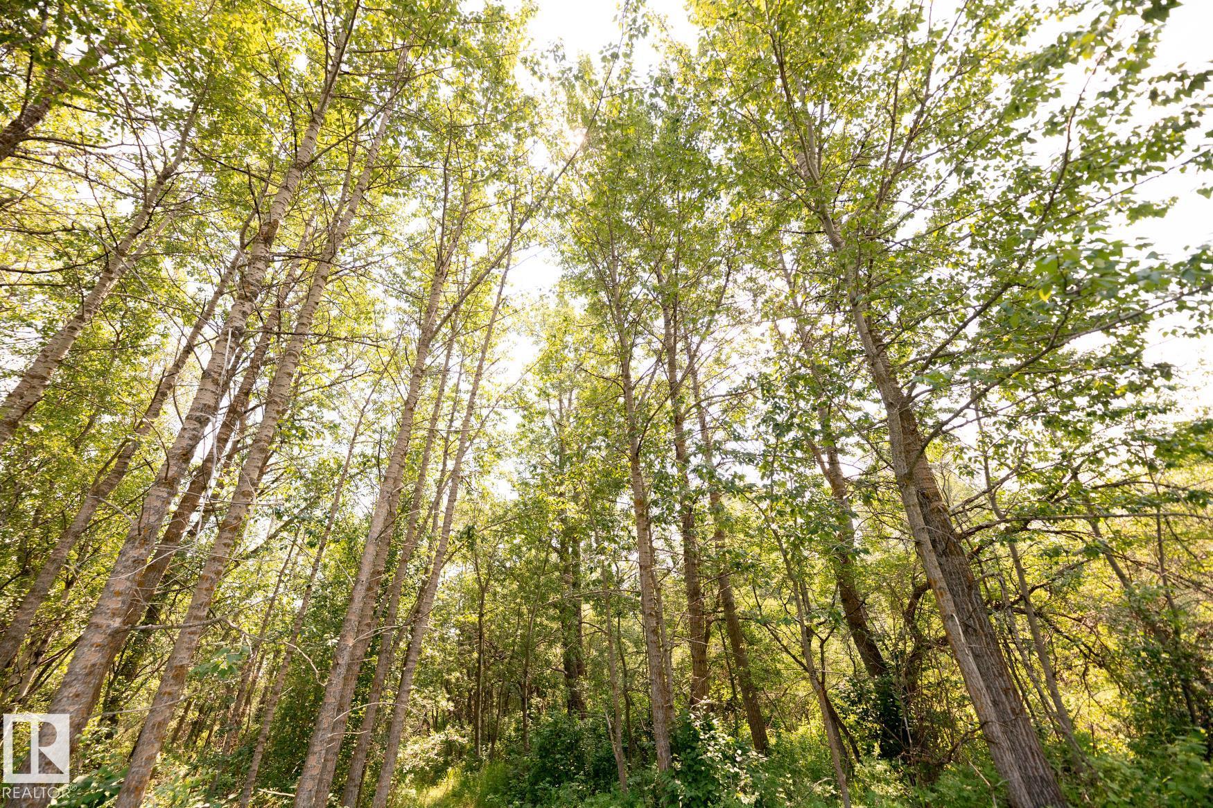 Photo 23 at 23246 Twp  Rd 521a, None, Rural Strathcona County