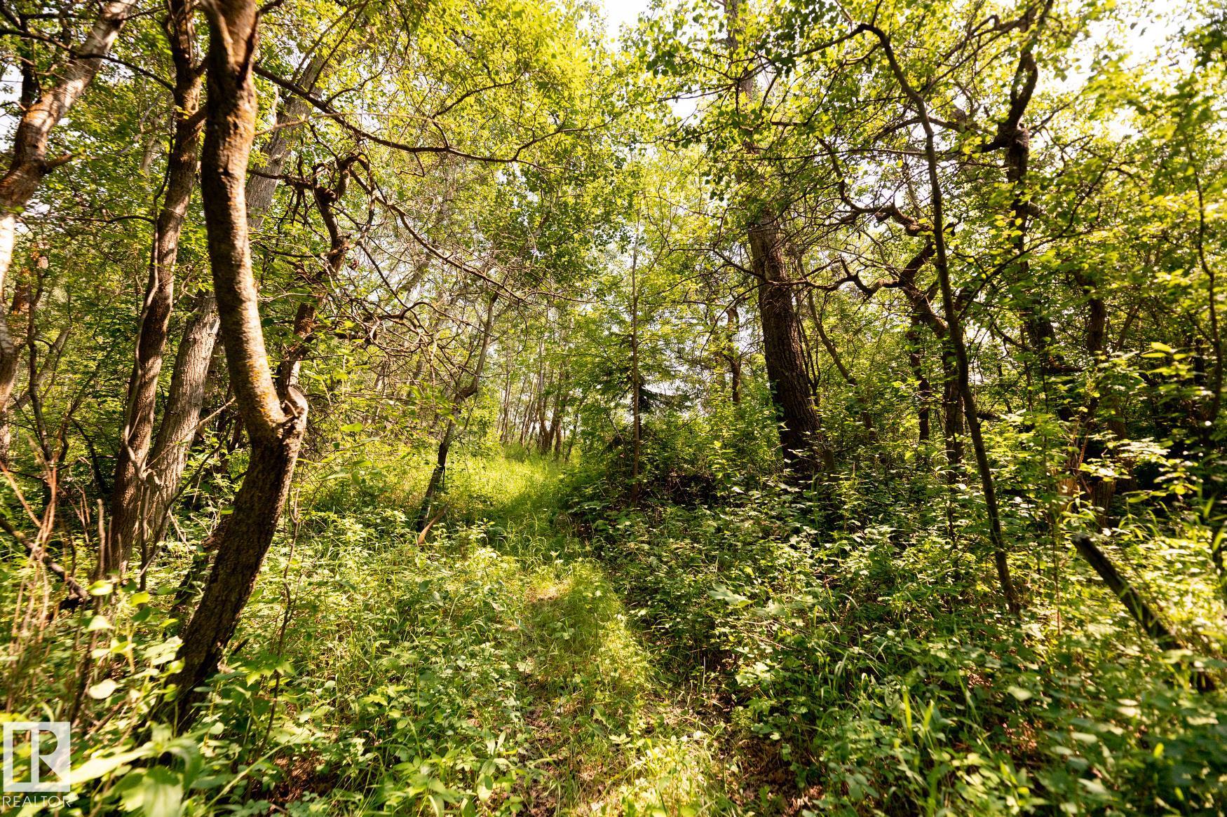 Photo 24 at 23246 Twp  Rd 521a, None, Rural Strathcona County