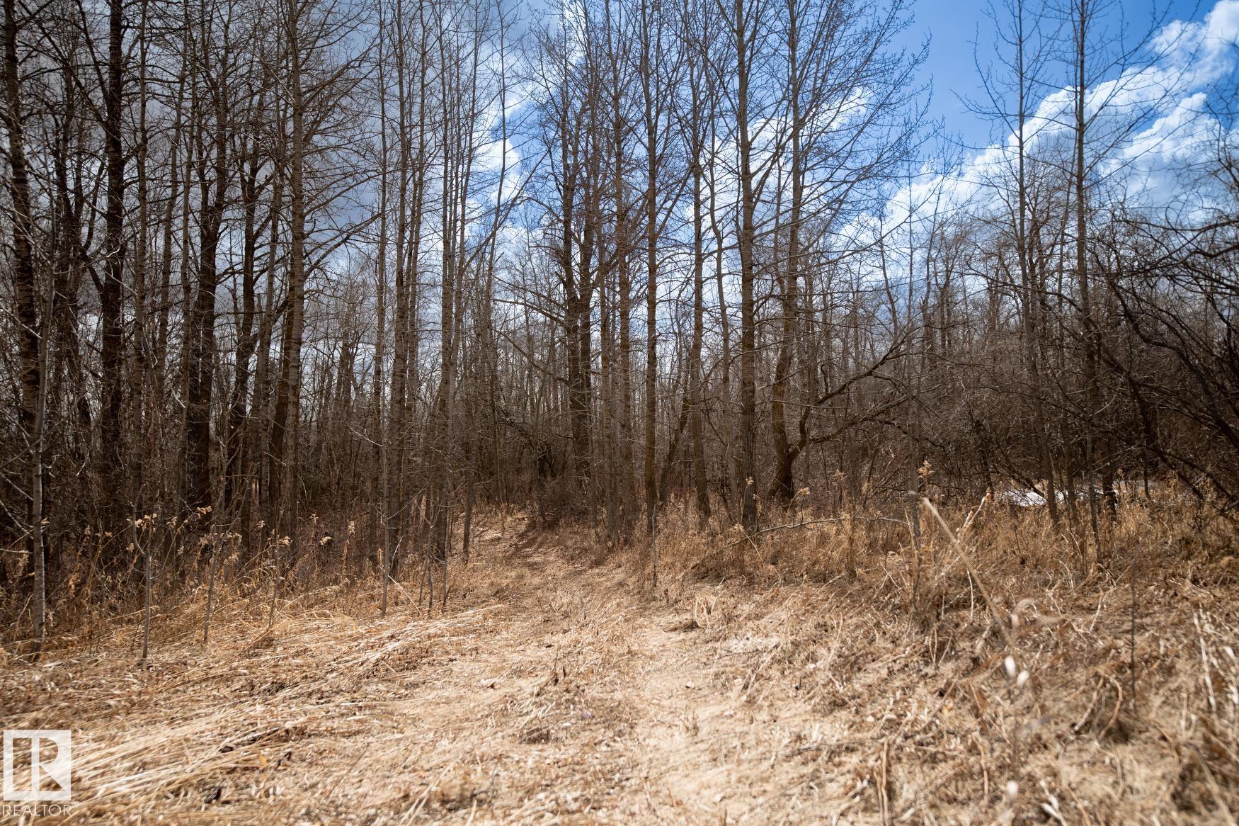 Photo 34 at 23246 Twp  Rd 521a, None, Rural Strathcona County