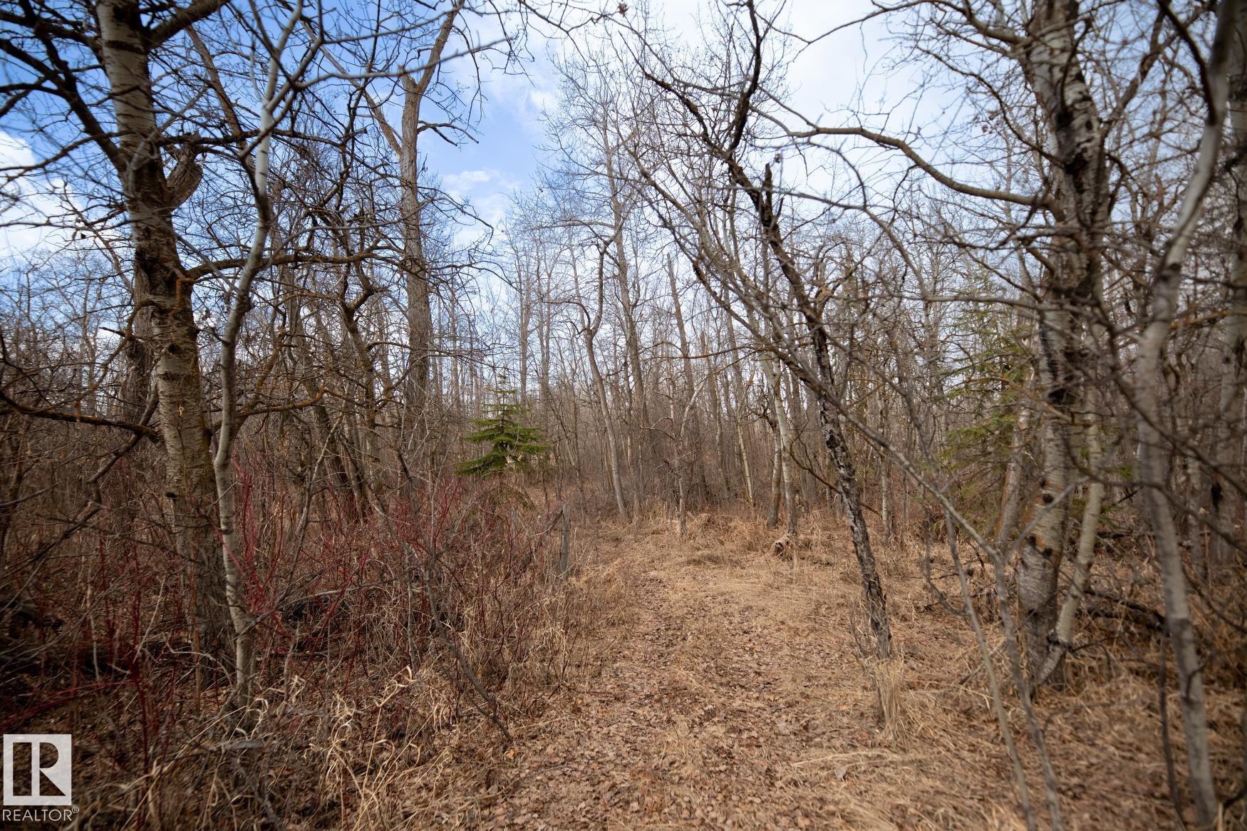 Photo 38 at 23246 Twp  Rd 521a, None, Rural Strathcona County